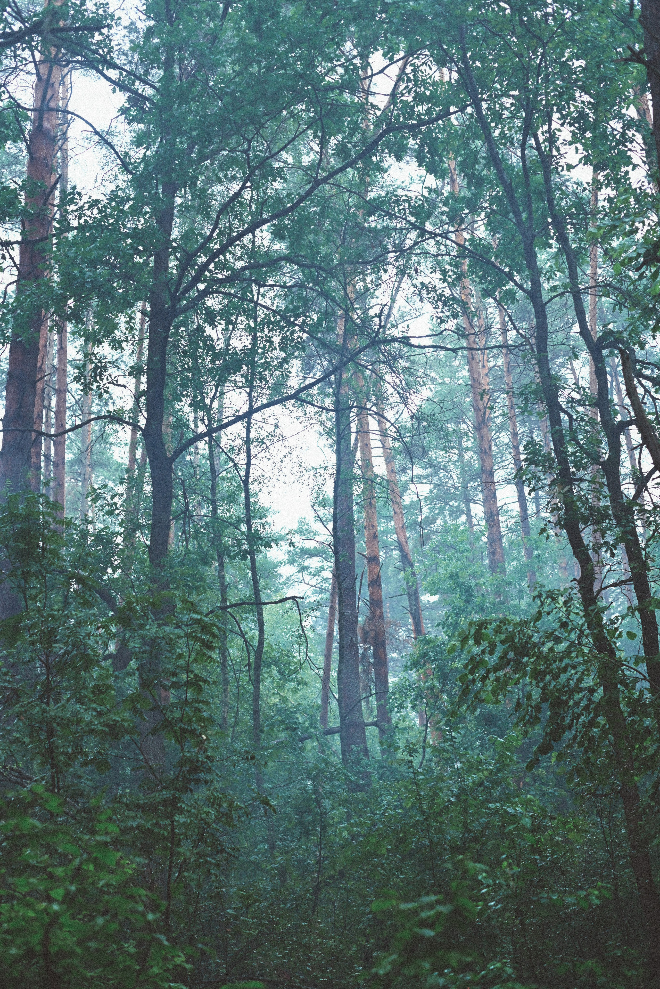 Прогулка. Элька Мурзина