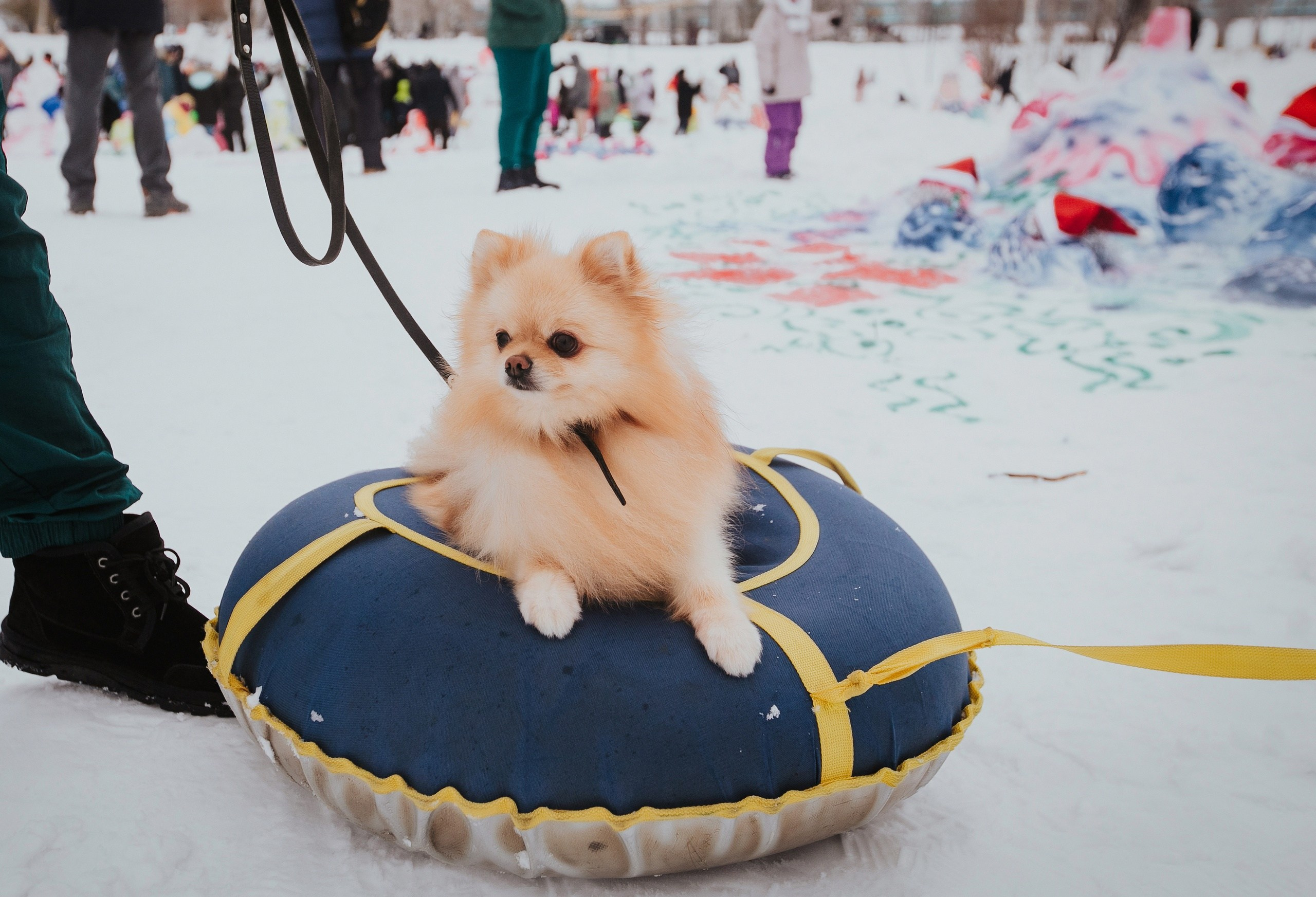Фестивали. Репортажный и свадебный фотограф в Новосибирске Марина Красавина