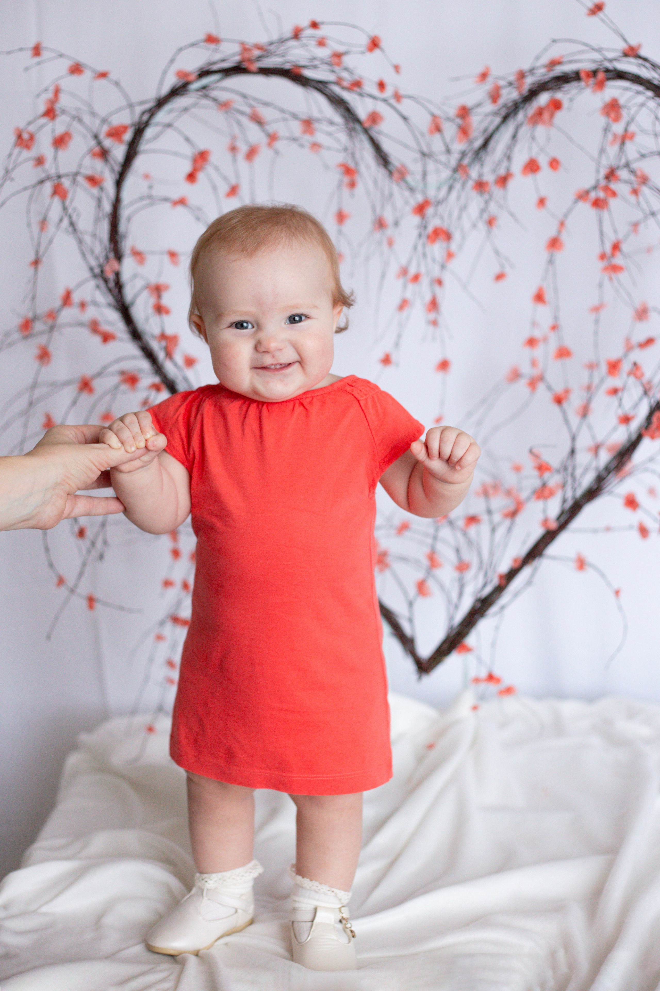 Сердце (14 февраля)