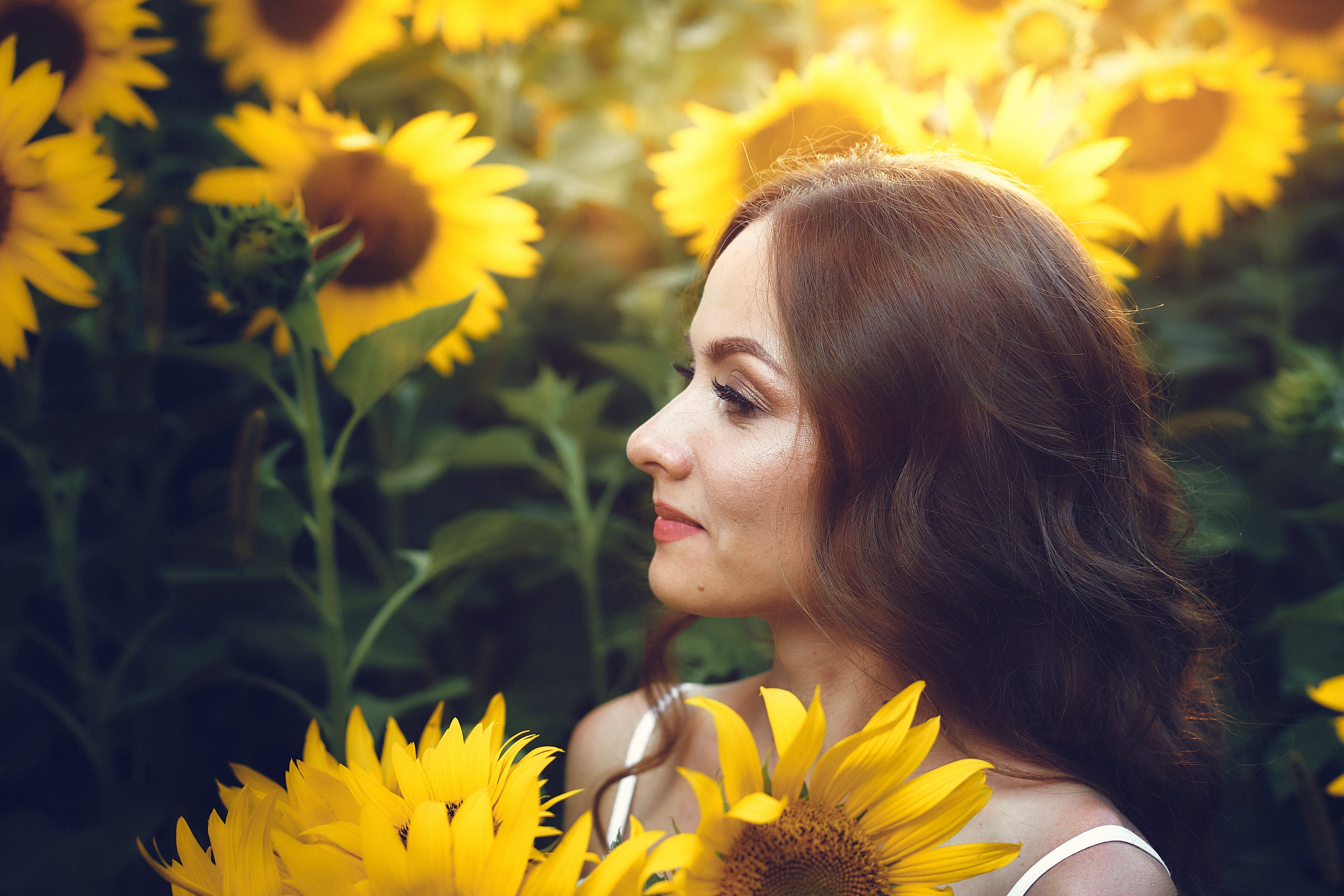 Ольга. Подсолнухи. Петр Ступень. Свадебное, семейное фото и видео. Москва. Краснодар