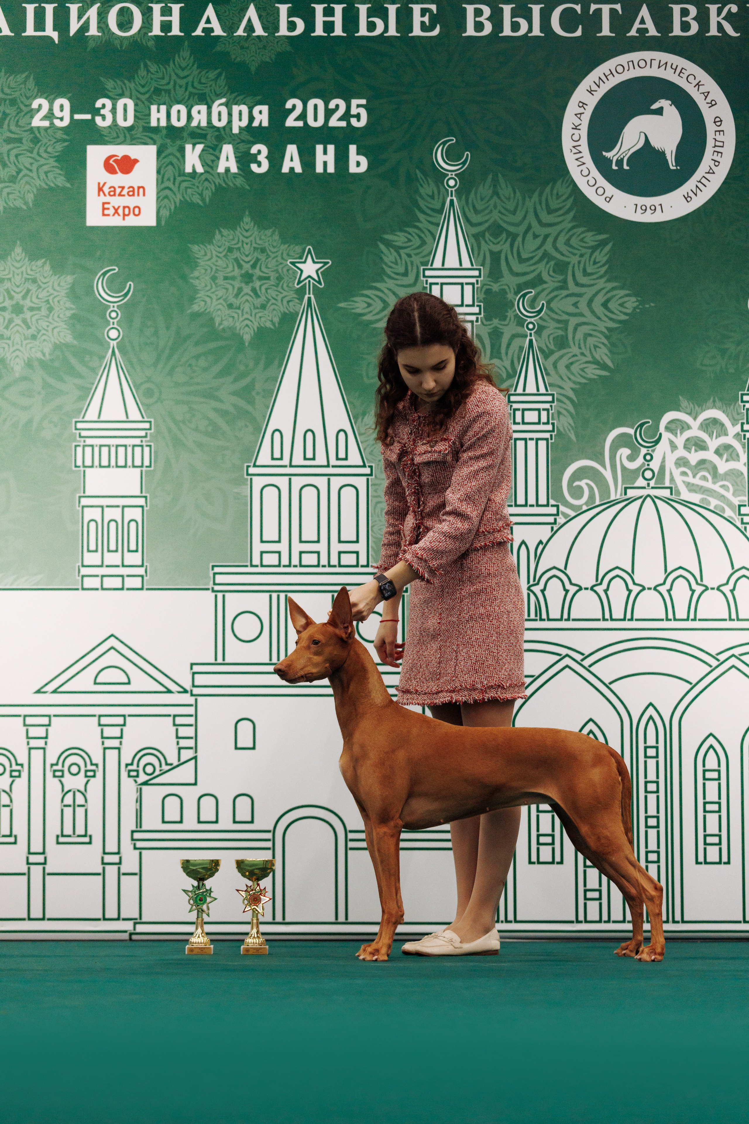 29-30.11.2025 — Казань «Зилант». Фотограф-анималист Саша Вязьмина
