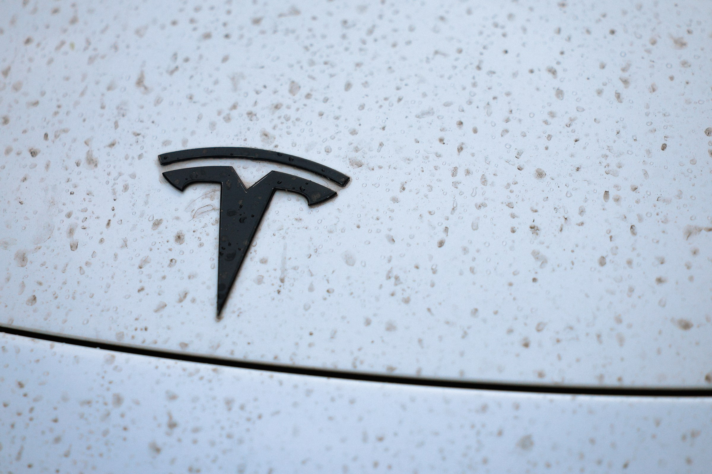 /РЕПОРТАЖ/ Открытие вело сезона VETER.CC SPB. 2024. Свадебный фотограф Великий Новгород Станислав Кособудский