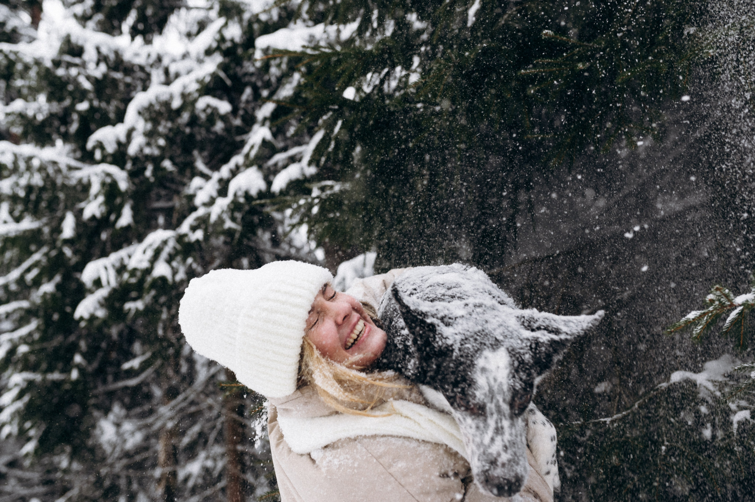 Аня и Милан. Фотограф анималист в Москве Ольга Агушева