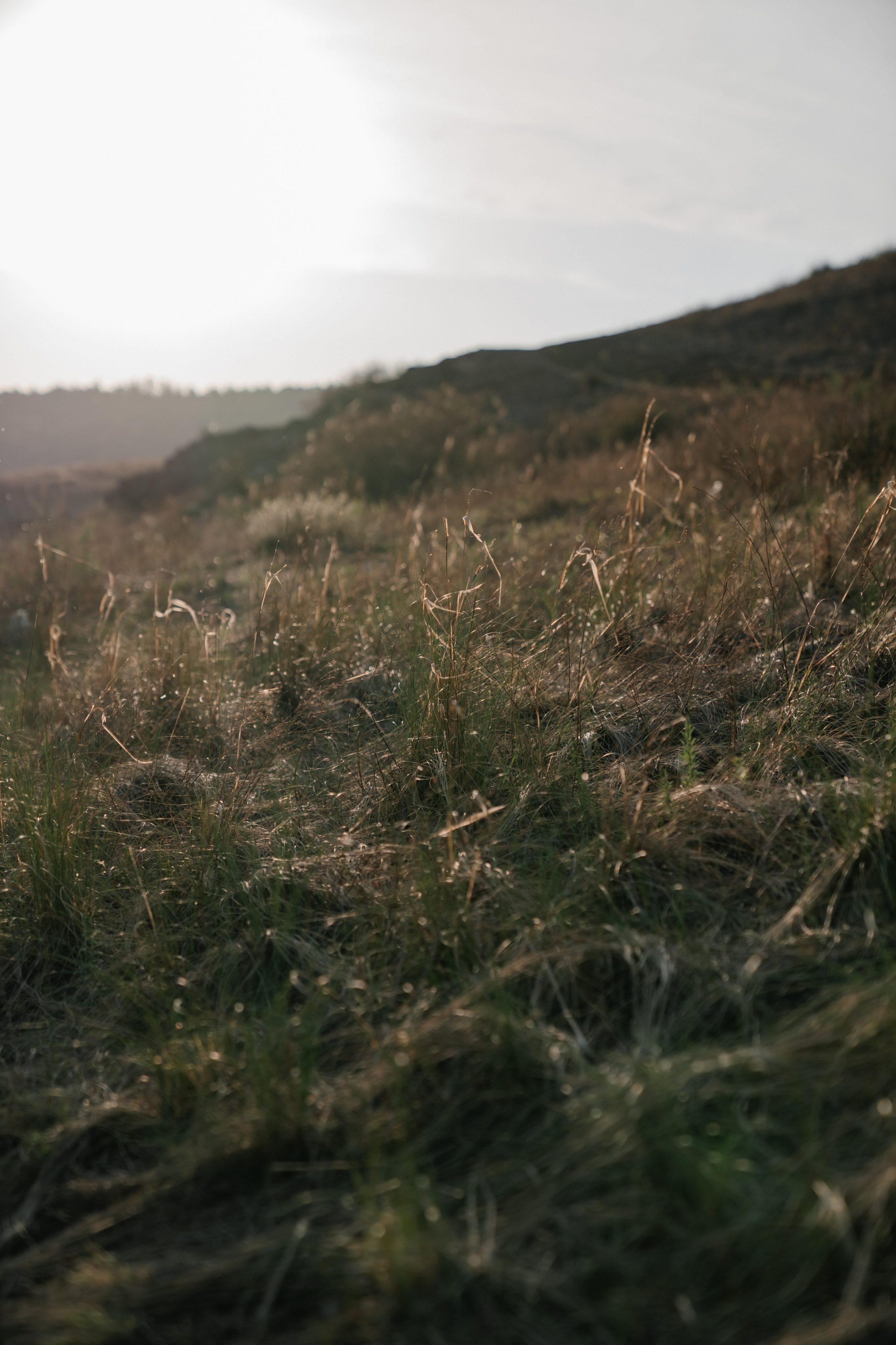 На закате. Евгения Арефьева — свадебный и портретный фотограф в Чите