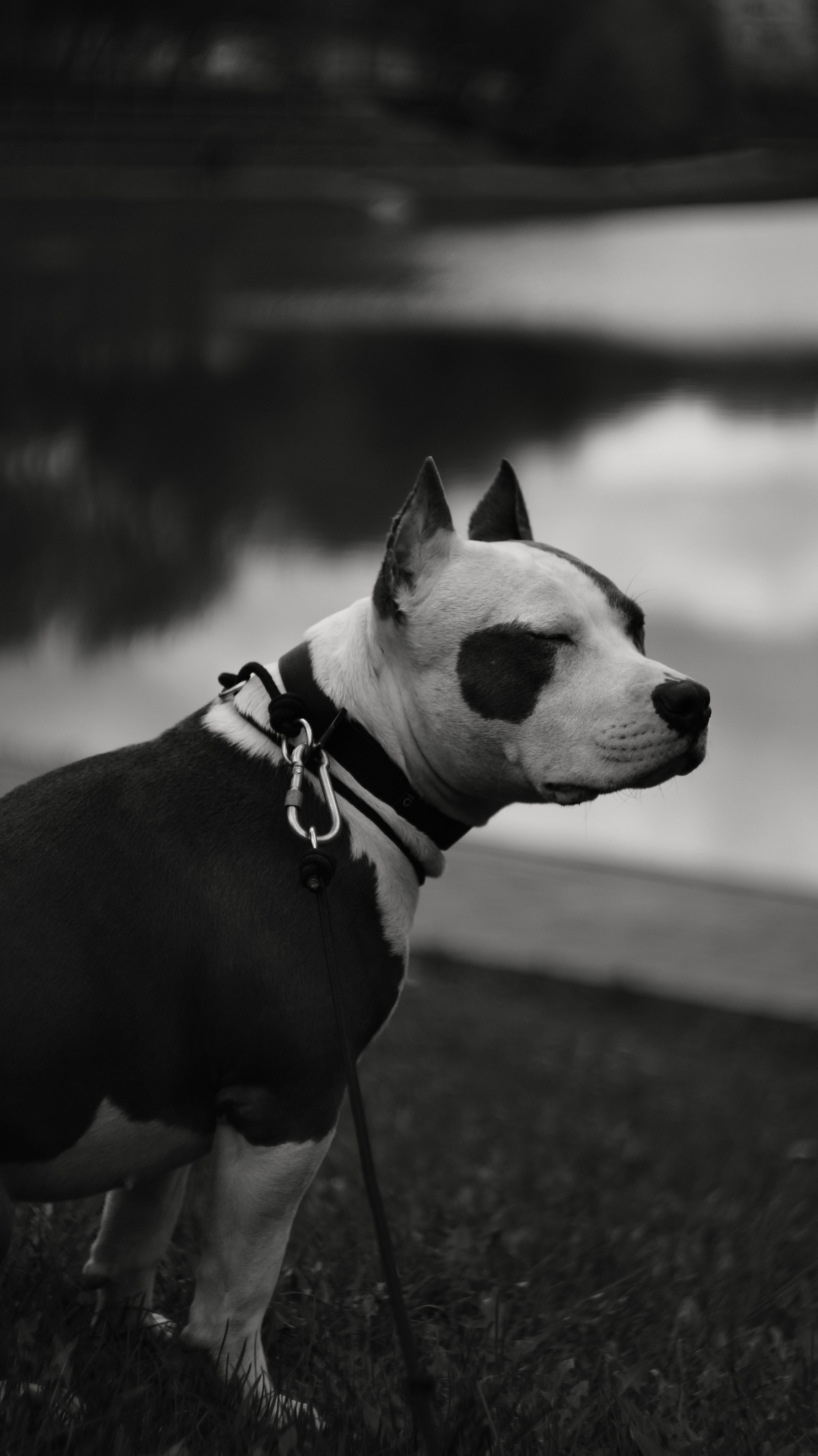 Луна. Профессиональный фотограф