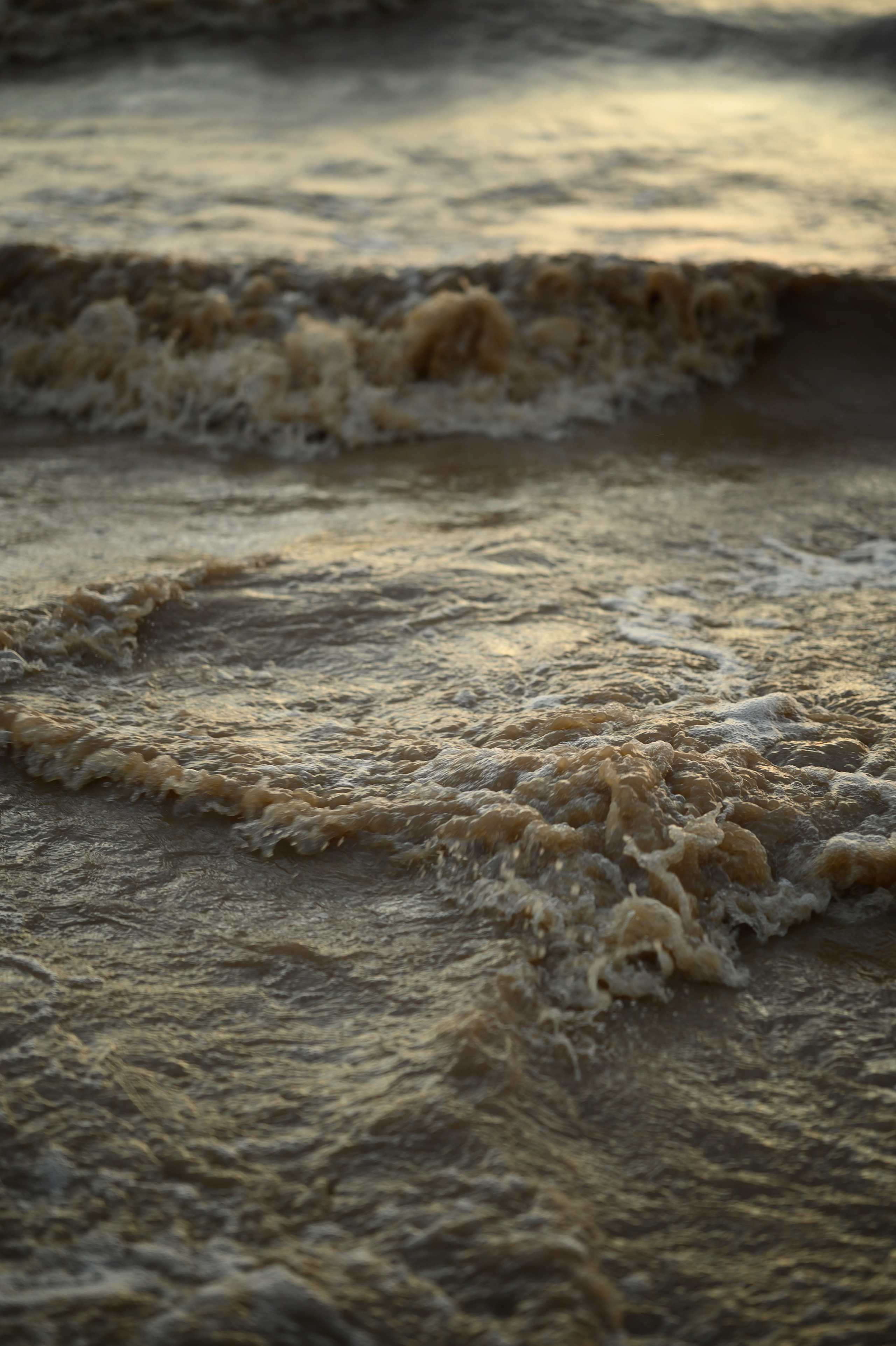 Наташа, Степа, Василиса, Лера. Www.ostermiller.ru