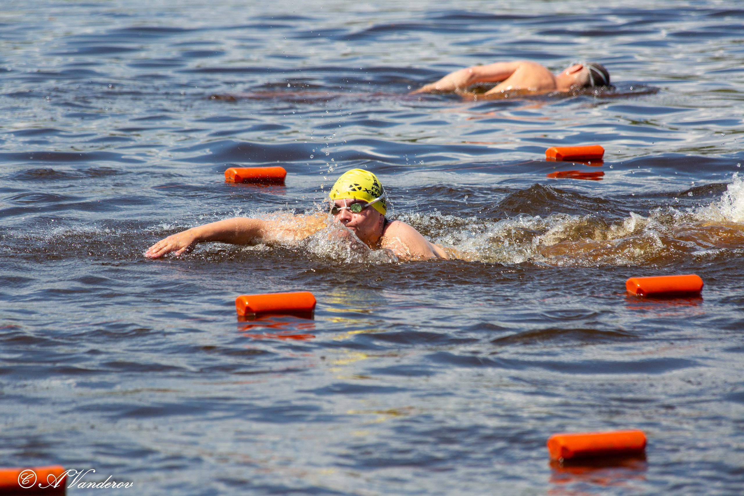 Заплыв 02.06.2024. Фотограф Омск | Александр Вандеров