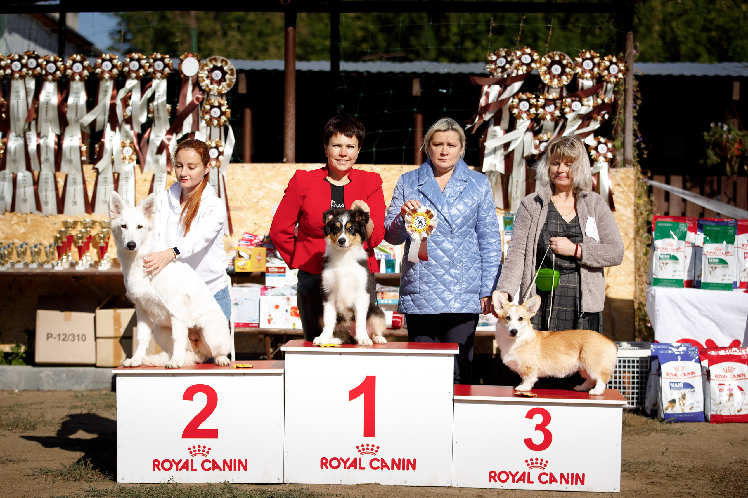 Водяные в Новотроицке. О нас