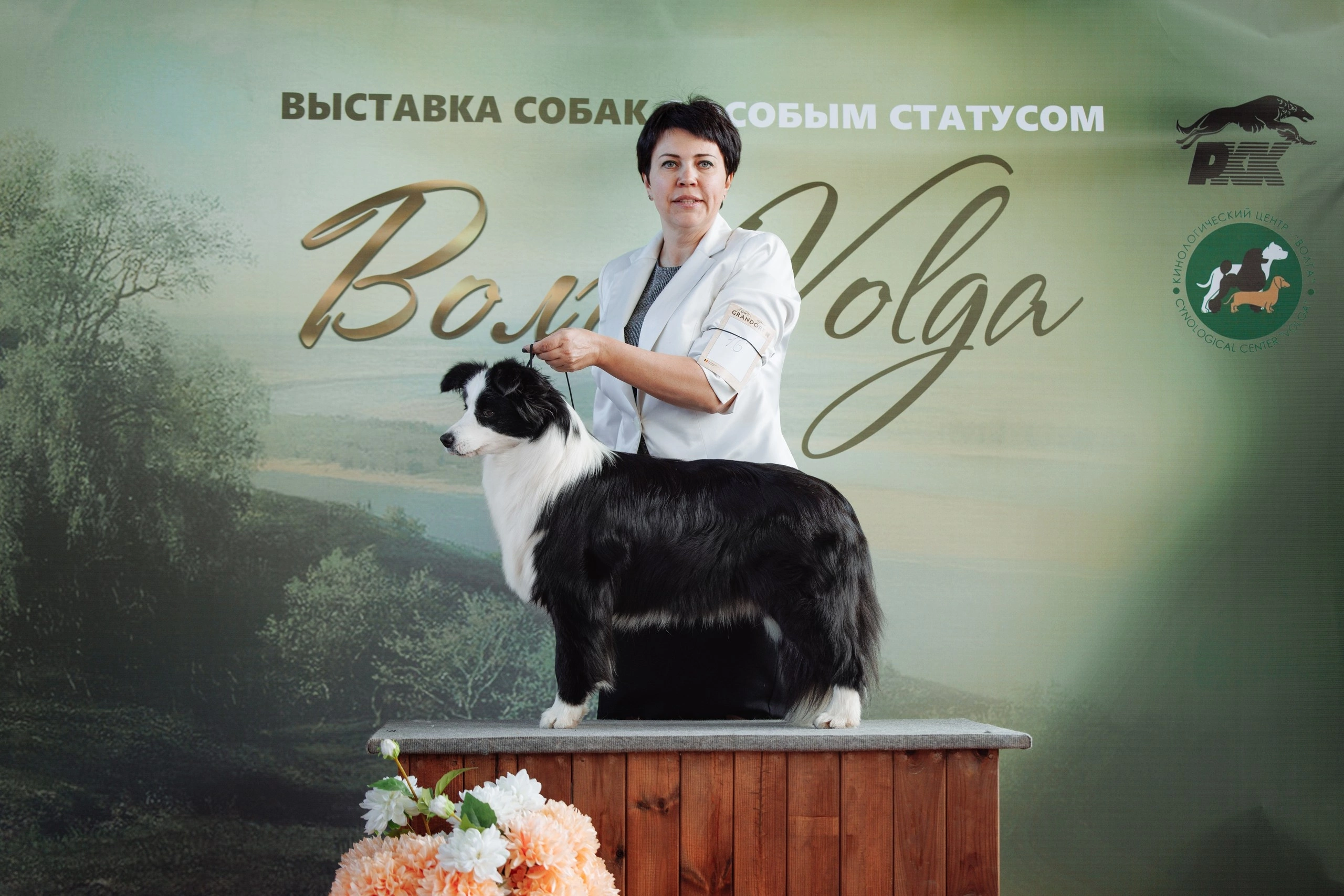 Ryzhaya Molniya Ottava — Нина. Заводчик Зинаида Мищенко
