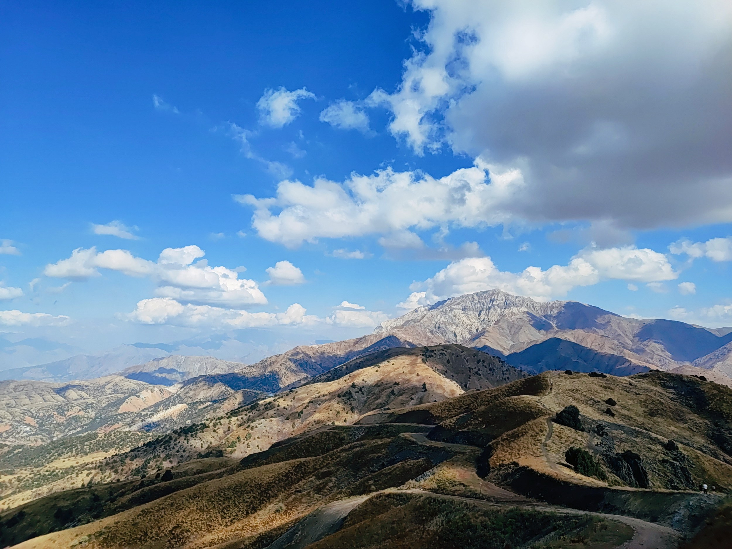 Намобилкус узбекский. Репортажный фотограф Алексей Пирязев