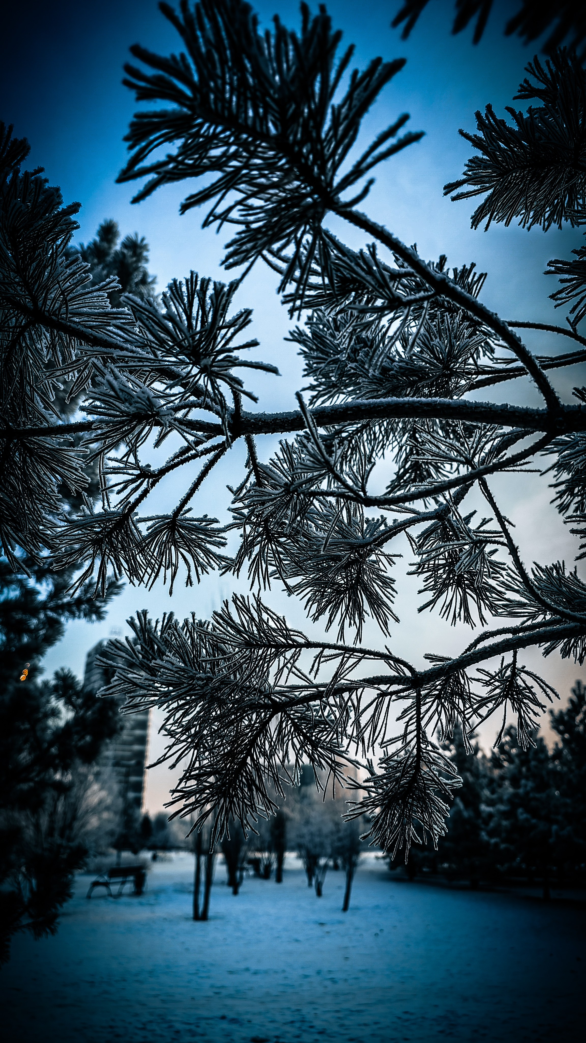 Скоро лето. Игорь Урывский. Фотограф Красноярск