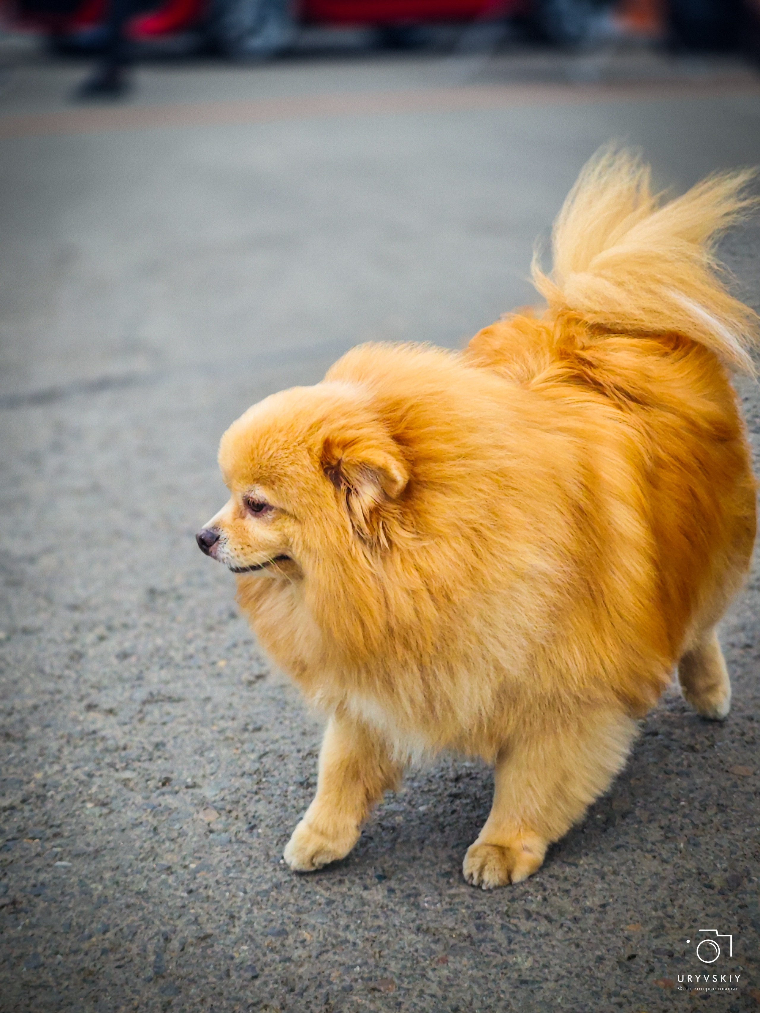 ISKRA 2025 Красноярск. Игорь Урывский. Фотограф Красноярск