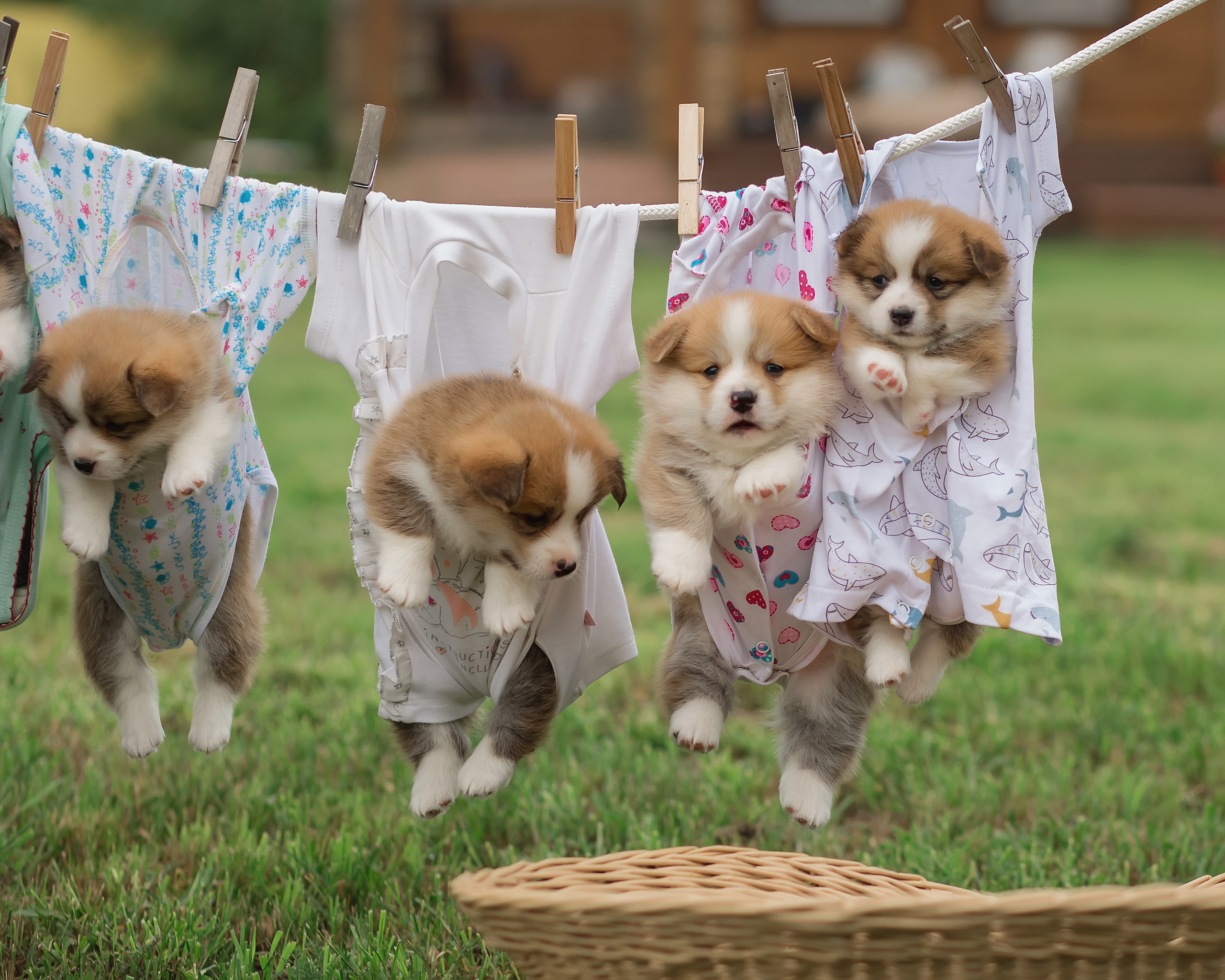 Фотограф в Хабаровске — запись на съёмку. Алена Попова — фотограф в Хабаровске