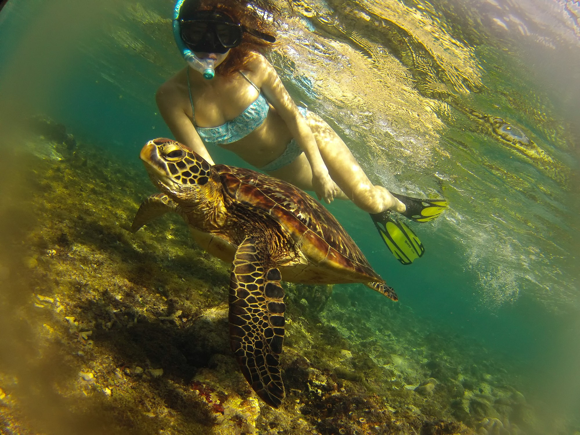 Фото и видео съемка мероприятия. Фото и видеосъемка