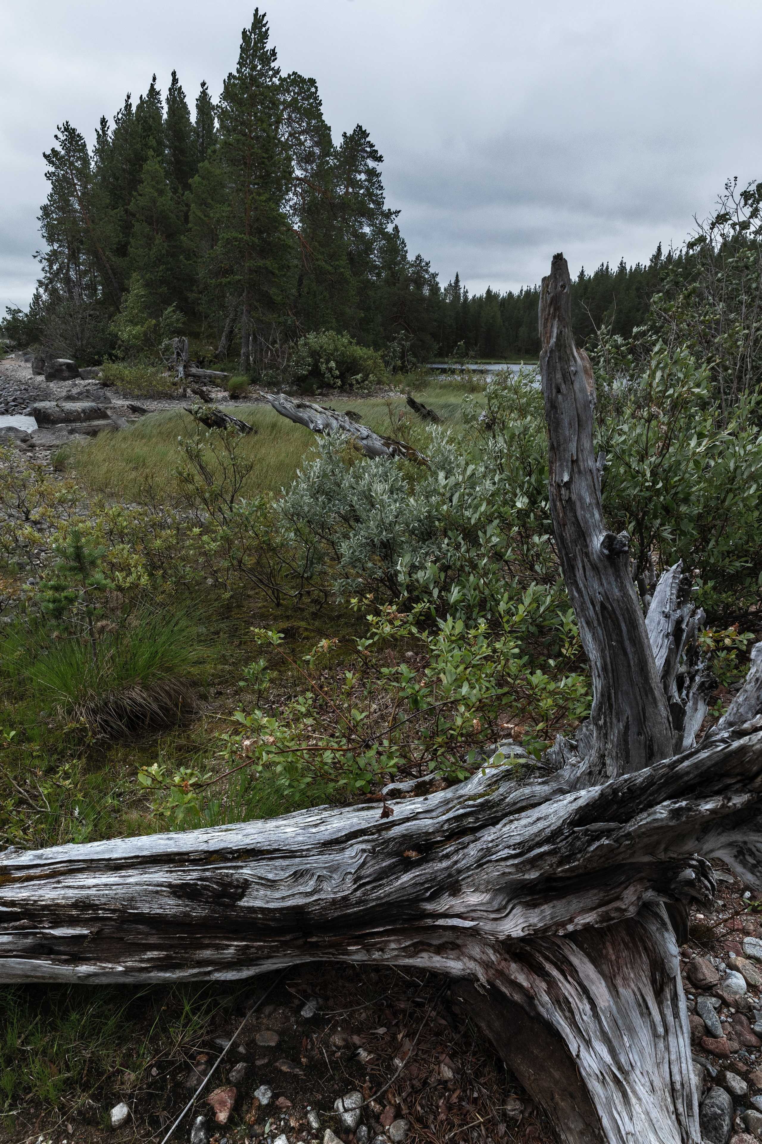 Оз. Колвицкое. Фотографии