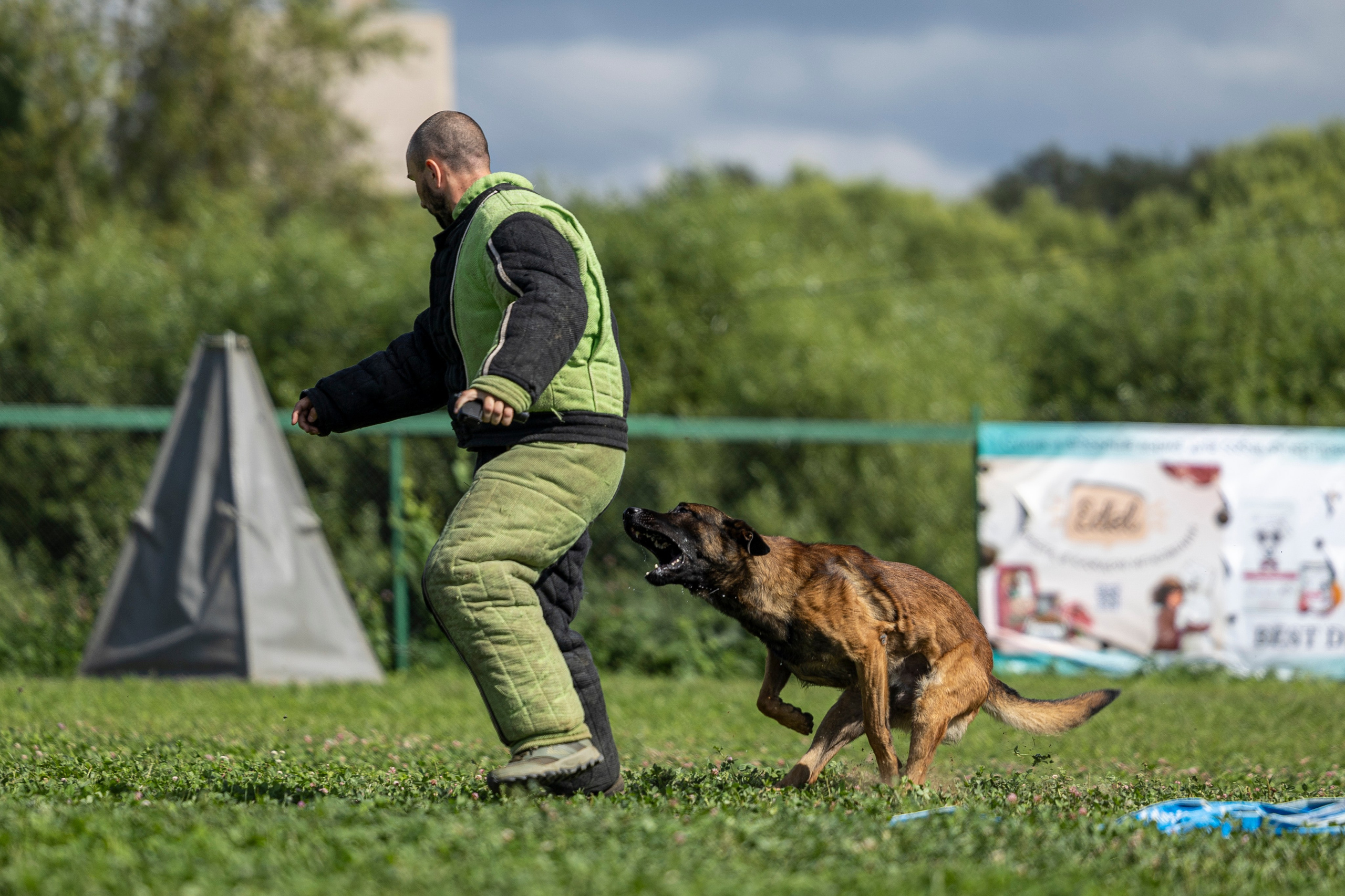 Соревнования по Мондьорингу г. Вологда 10-11.08.2024. Фотограф-анималист Анна Маринич