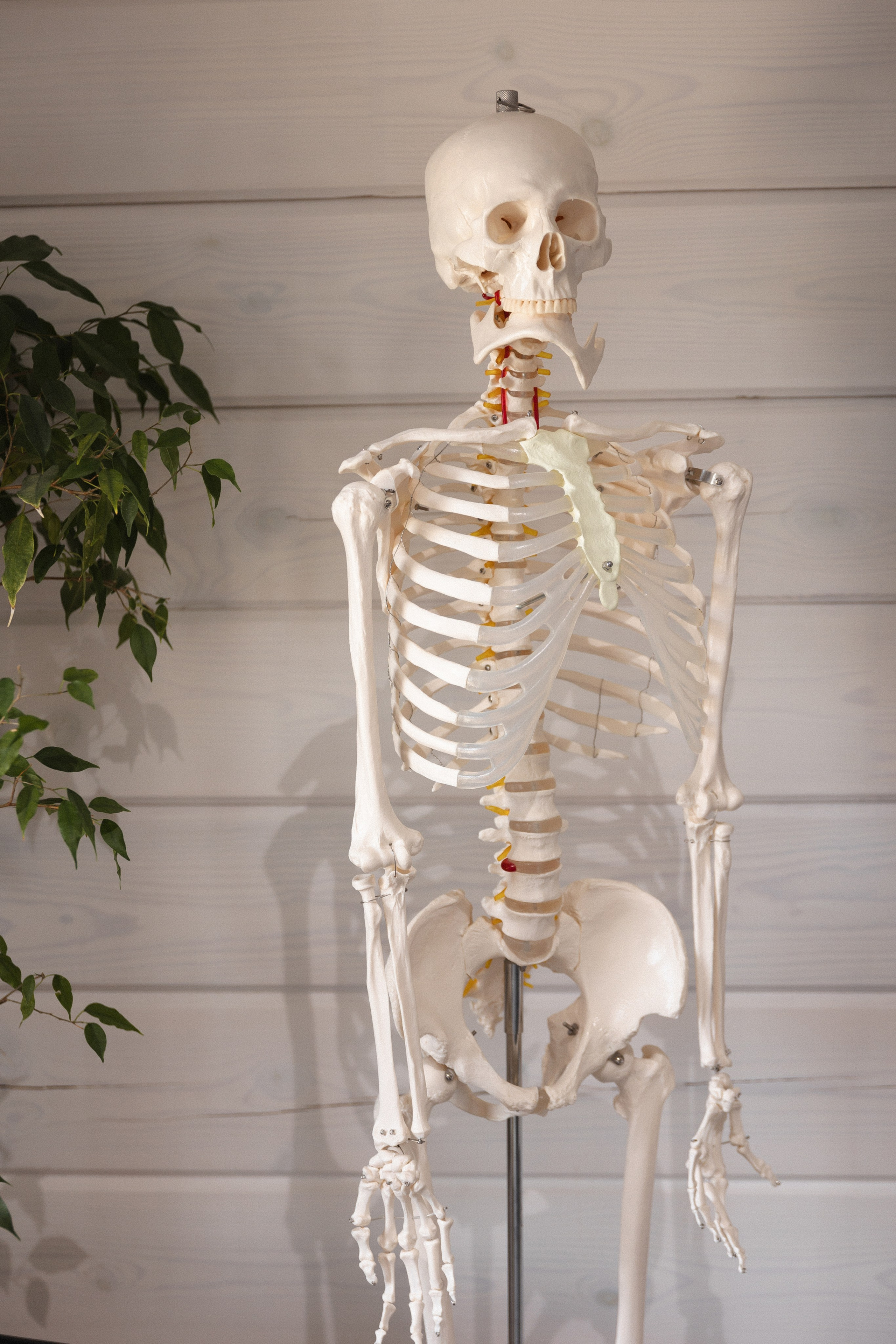 TEAM//Кинезиологи Московского института. Фотограф Тюмень Пушковская Кристина