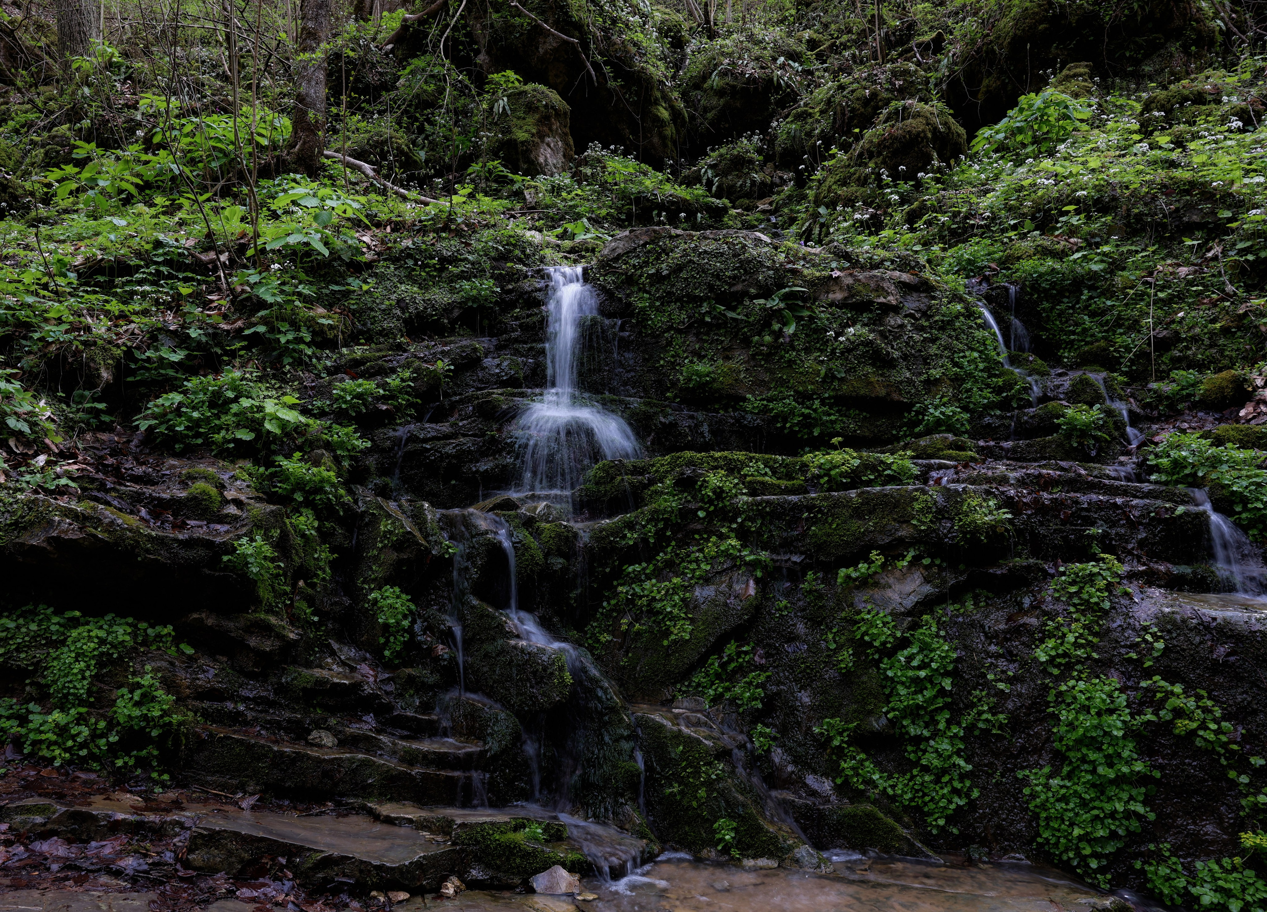 Фотограф Мария Алексеева. Мария Алексеева. Фотограф в Москве