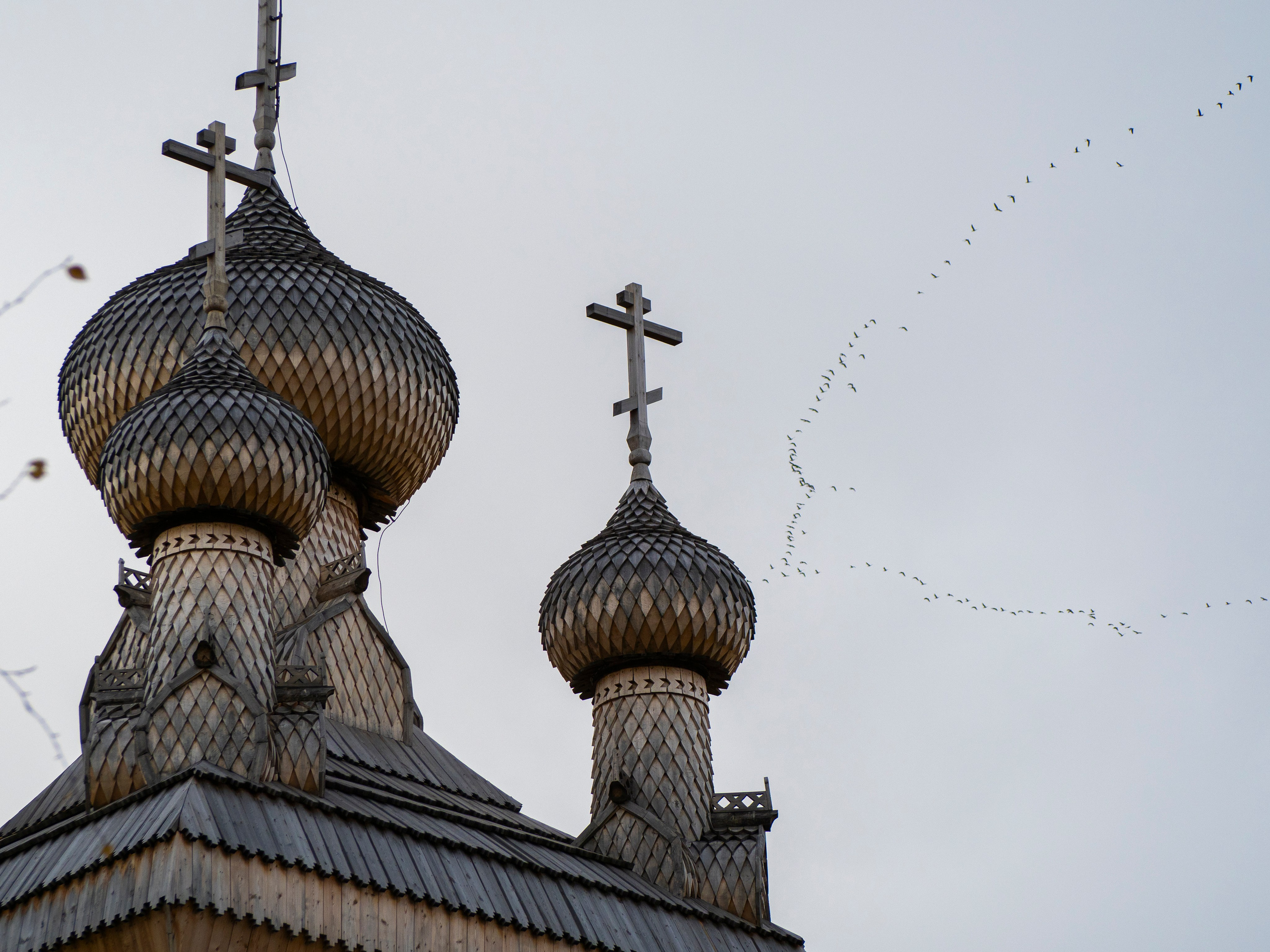 Малые Корелы. Вижу