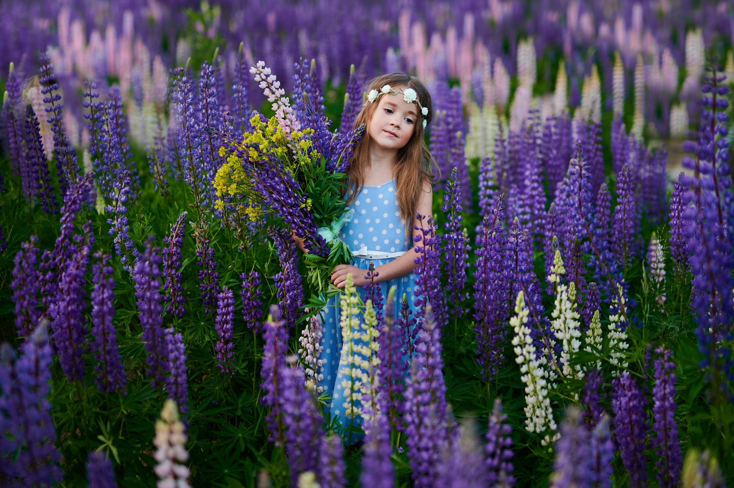 Счастье в люпинах. Портретный, семейный и свадебный фотограф в Санкт-Петербурге и в Пушкине Ширяев Денис