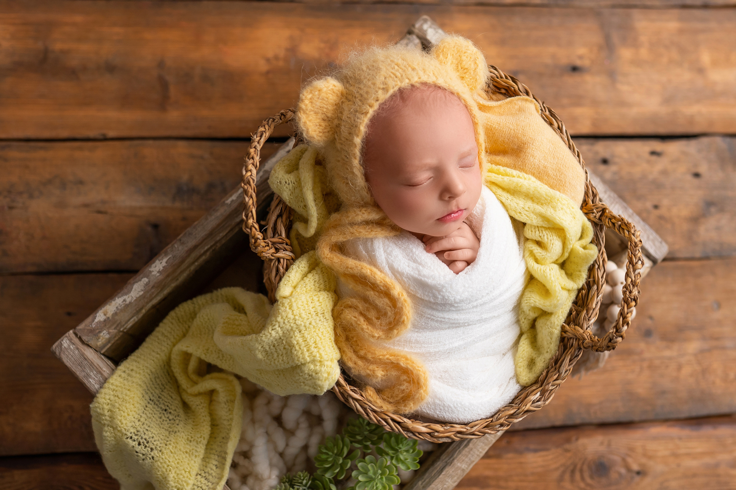 Новорождённые. Фотограф новорожденных Москва, Домодедово