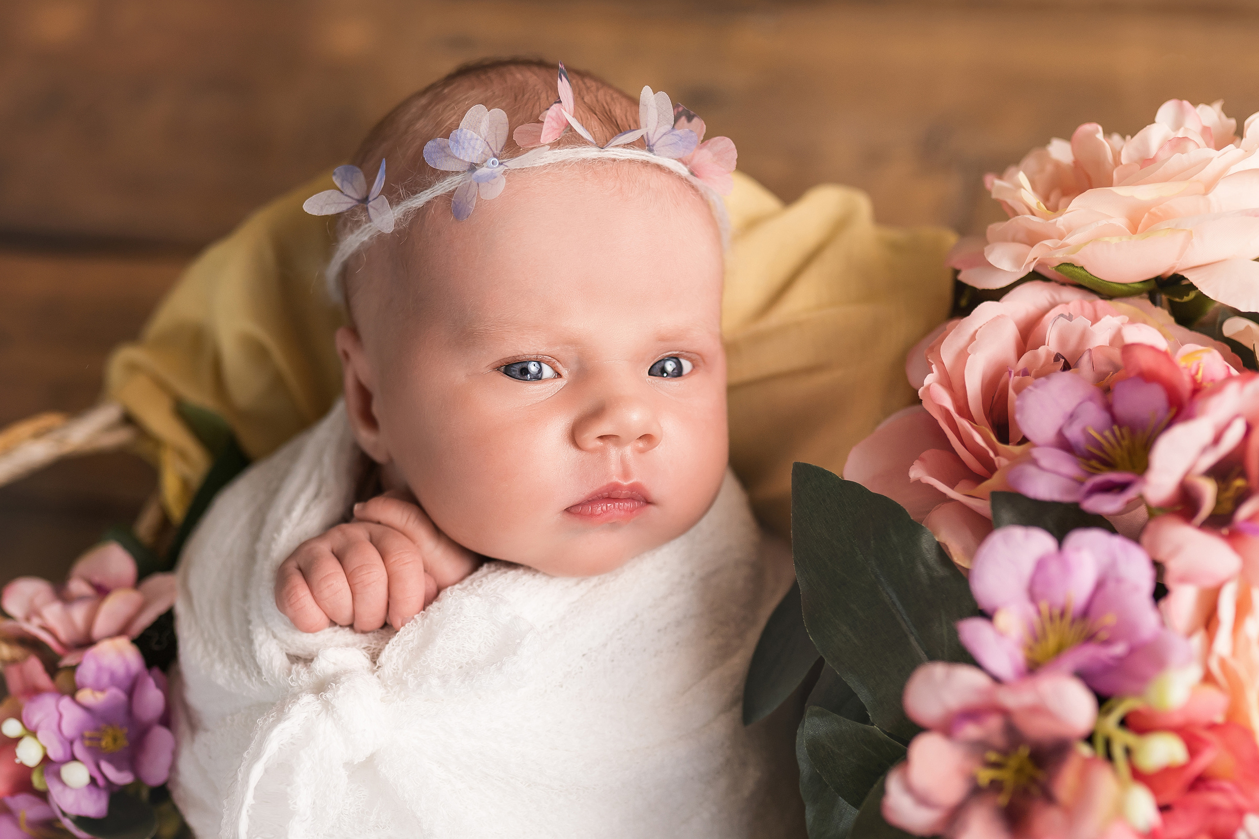  Профессиональный фотограф новорожденных в Москве
