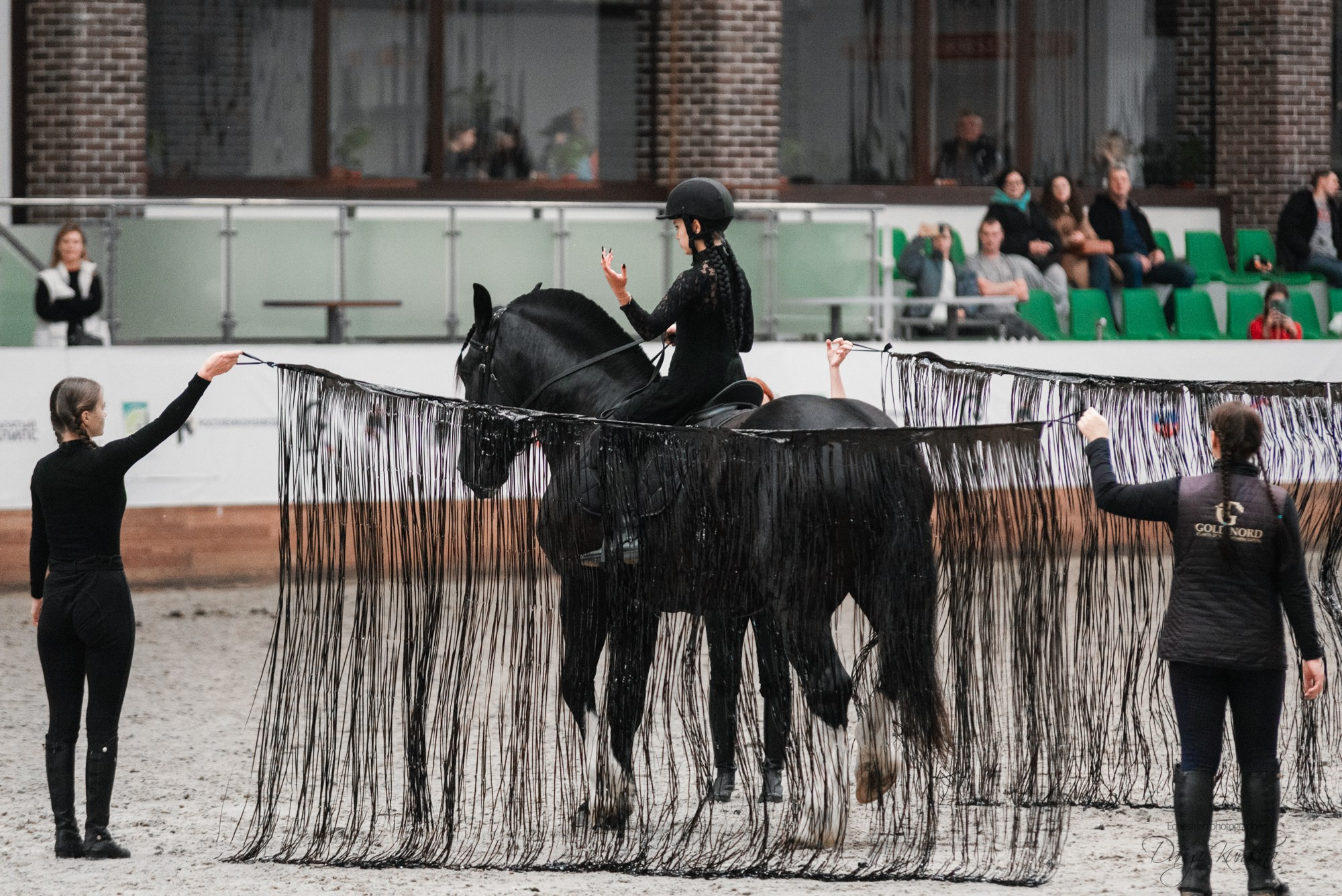 8-я международная выставка Конная Россия. Конный фотограф Куракина Дарья • Фотосессии с лошадьми