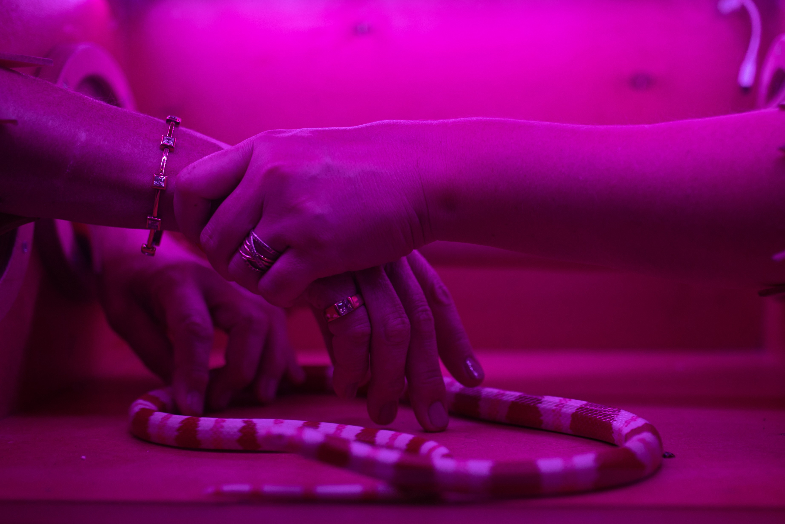 Anastasya/Anton. Свадебный фотограф Павел Князев