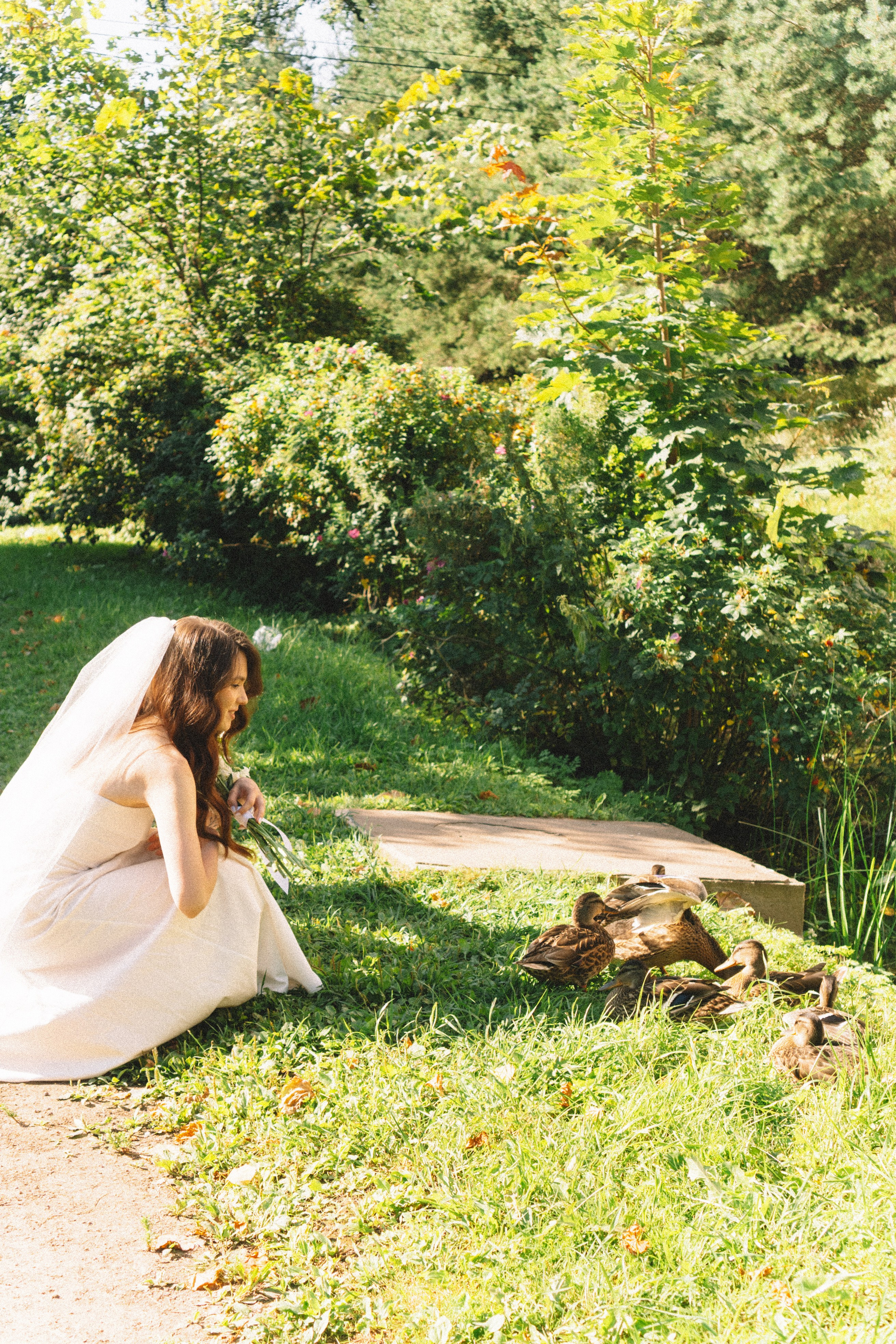 СВАДЕБНАЯ СЬЕМКА В ПЕТЕРГОФЕ И СЬЕМКА РЕПОРТАЖА В ЗАГСЕ ПЕТЕРГОФА. Профессиональный фотограф, Санкт-Петербург — Виктория Богомолова