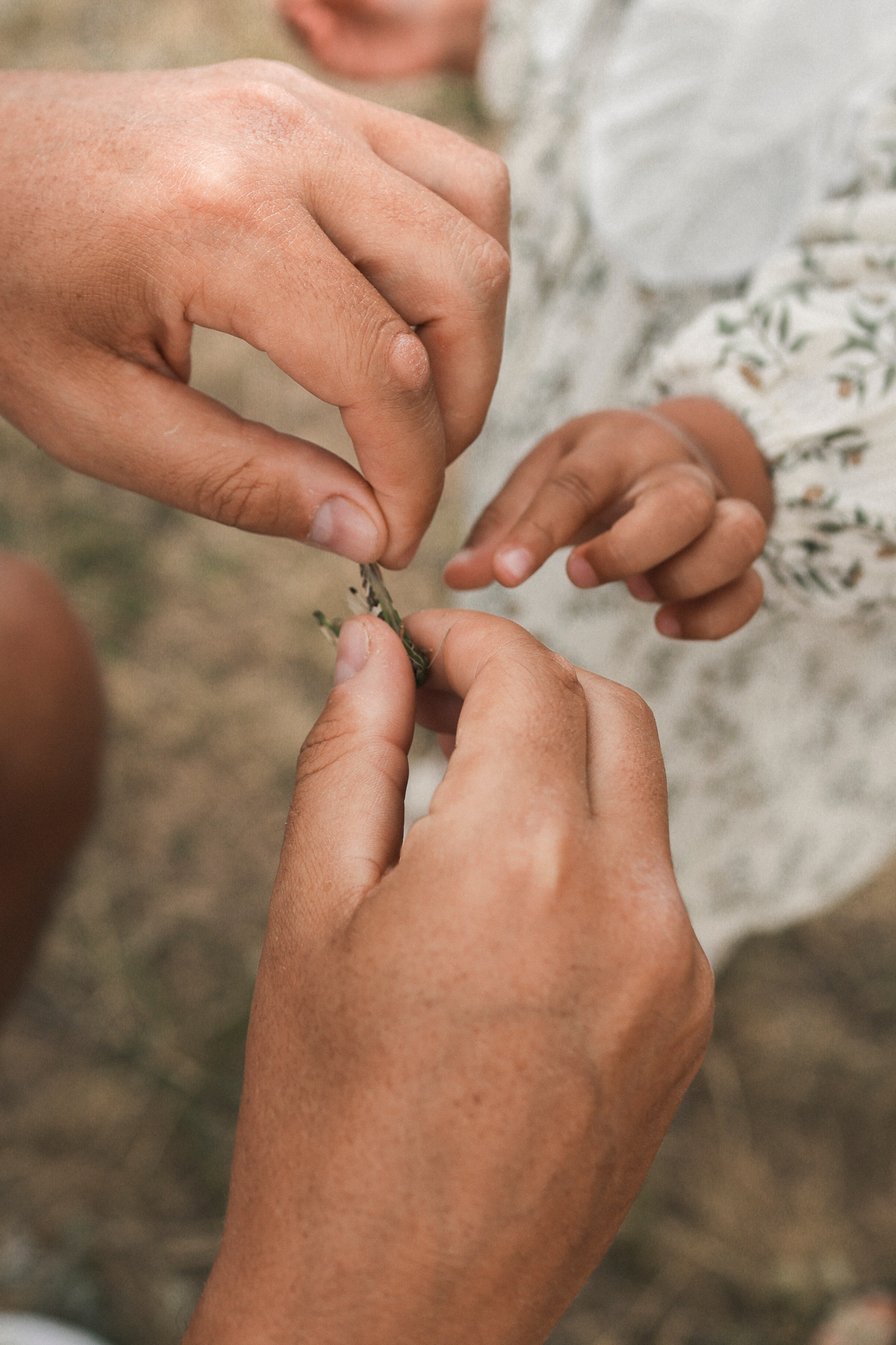 Пойдем, словлю тебе кузнечика. Свадебный и портретный фотограф. Видеограф на Свадьбу. Севастополь, Ялта, Симферополь, Крым