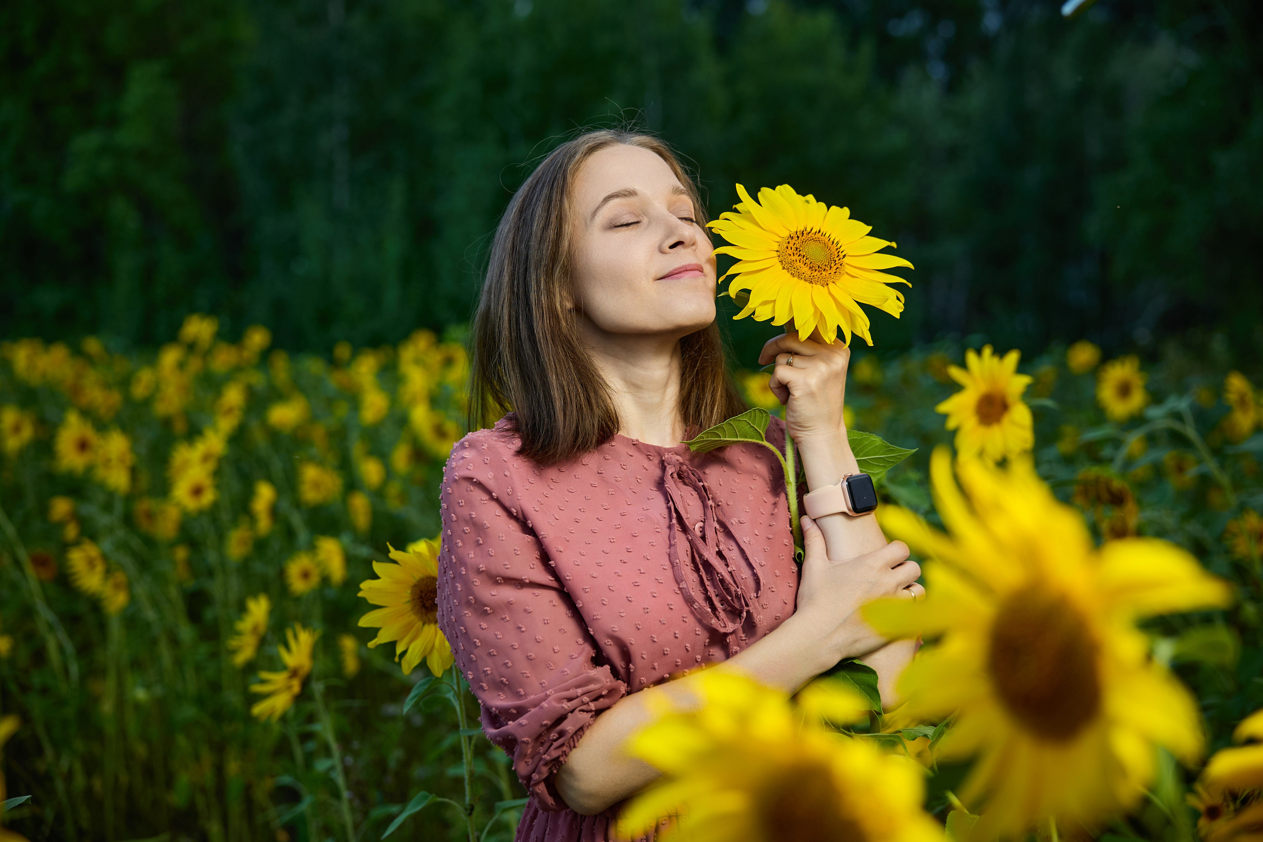 Подсолнухи. Разножанровый Фотограф в Омске Артём Руднев