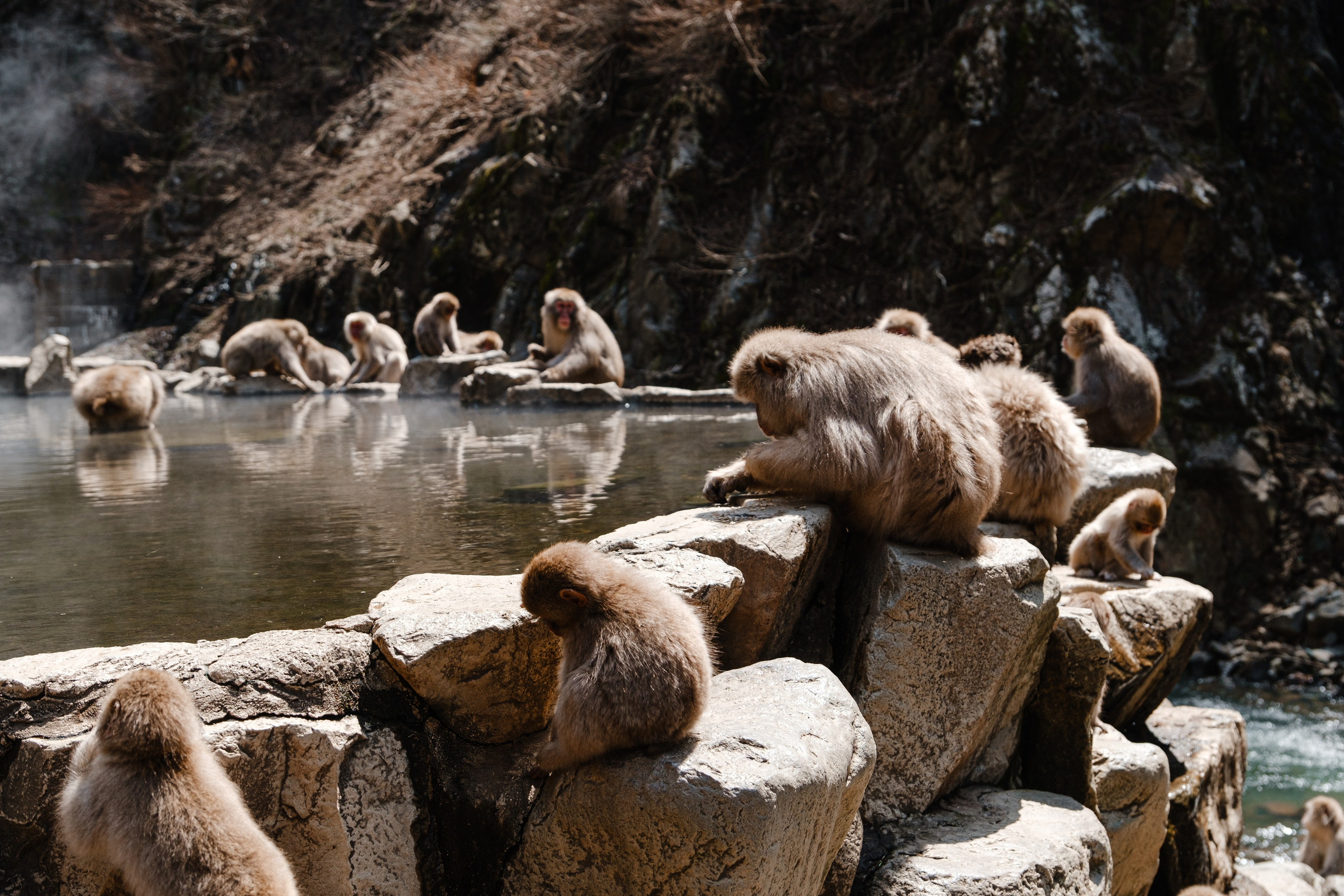 Невероятная Япония: Сезон Цветение Сакуры. Свадебный и Студийный фотограф из Казахстана Артем Орлянский