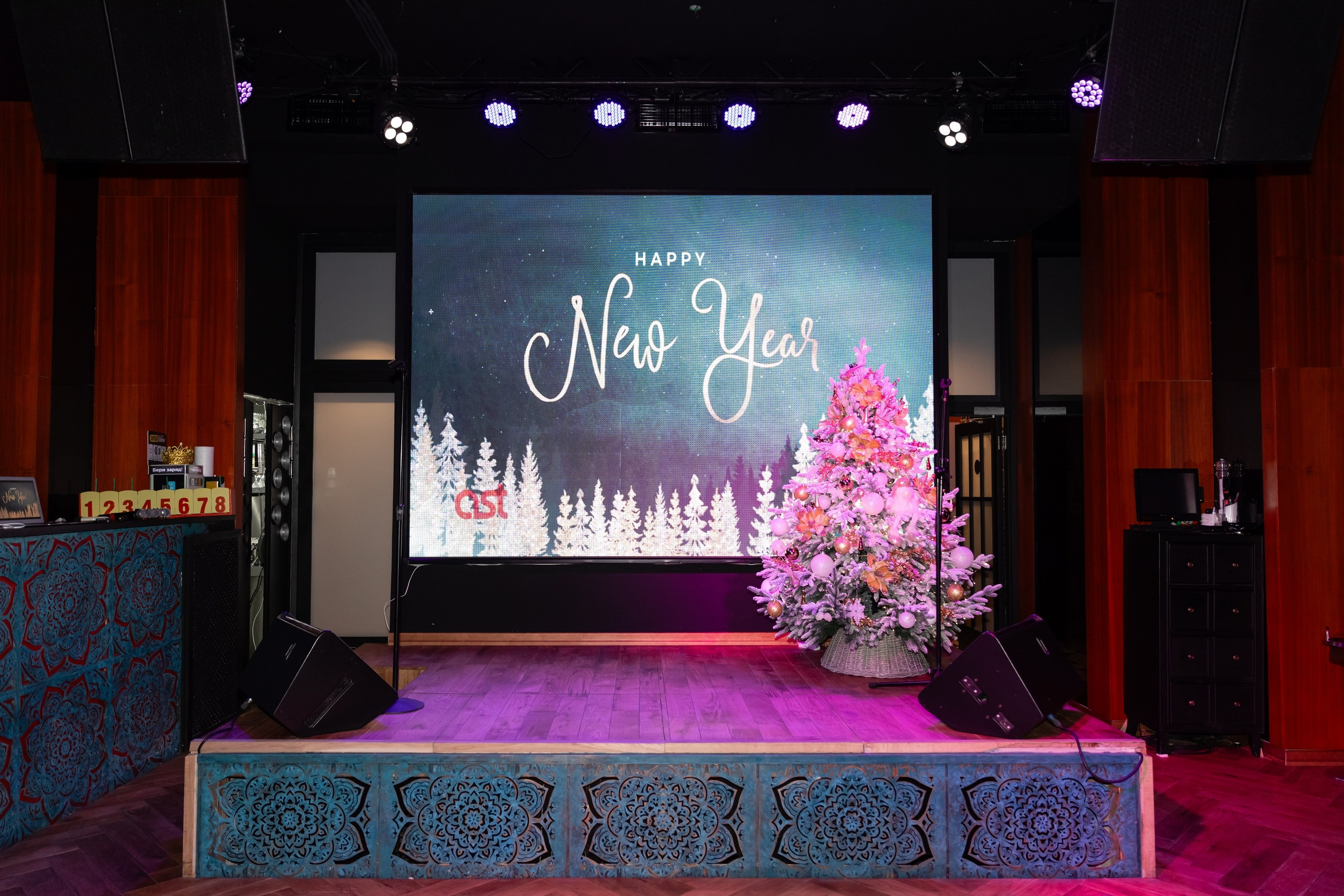 Новогодний корпоратив (Караоке клуб Who is who). Татьяна Чернышова свадебный фотограф Москва