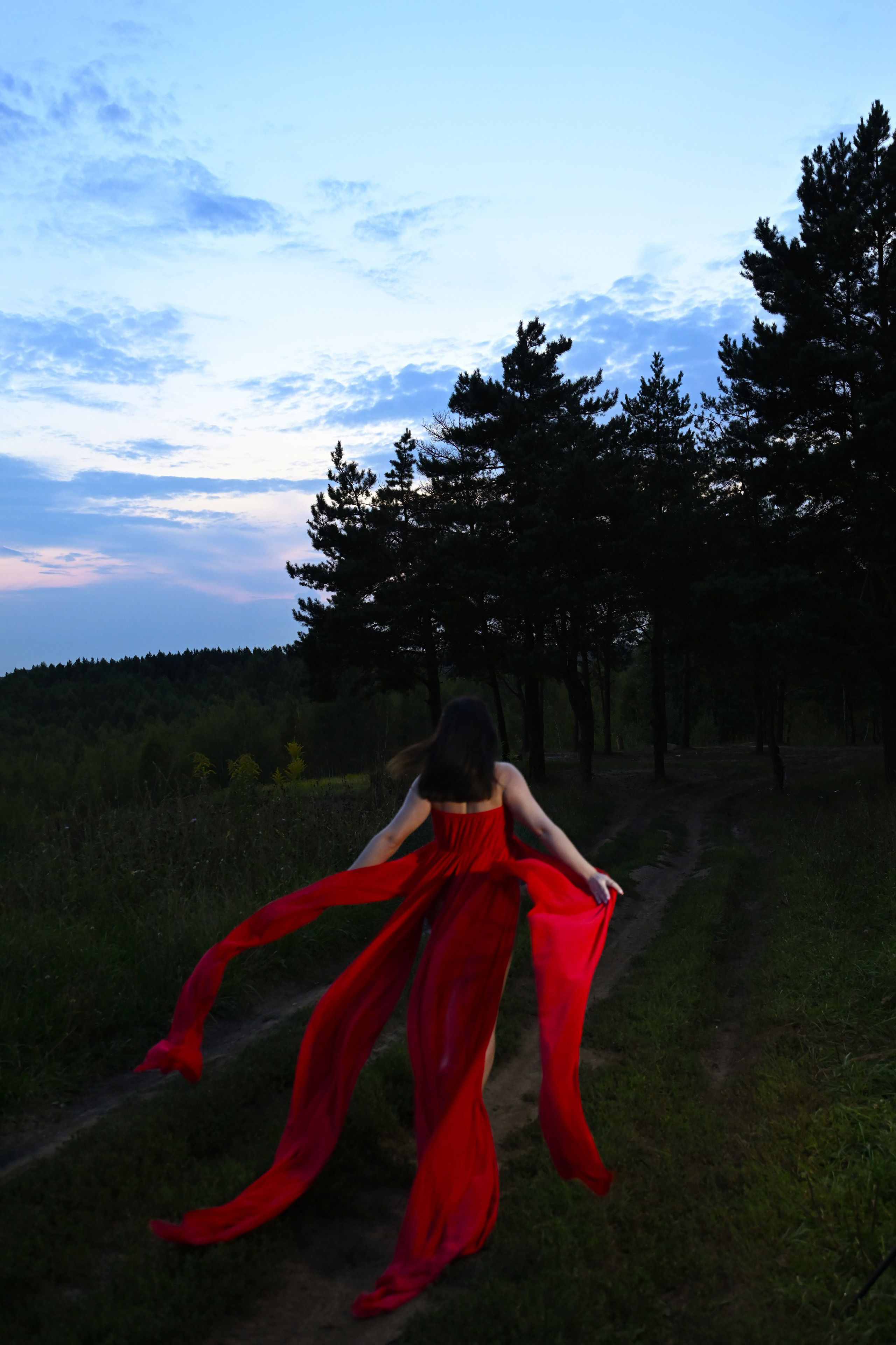 Лето. поле. Фотограф Косачева Екатерина