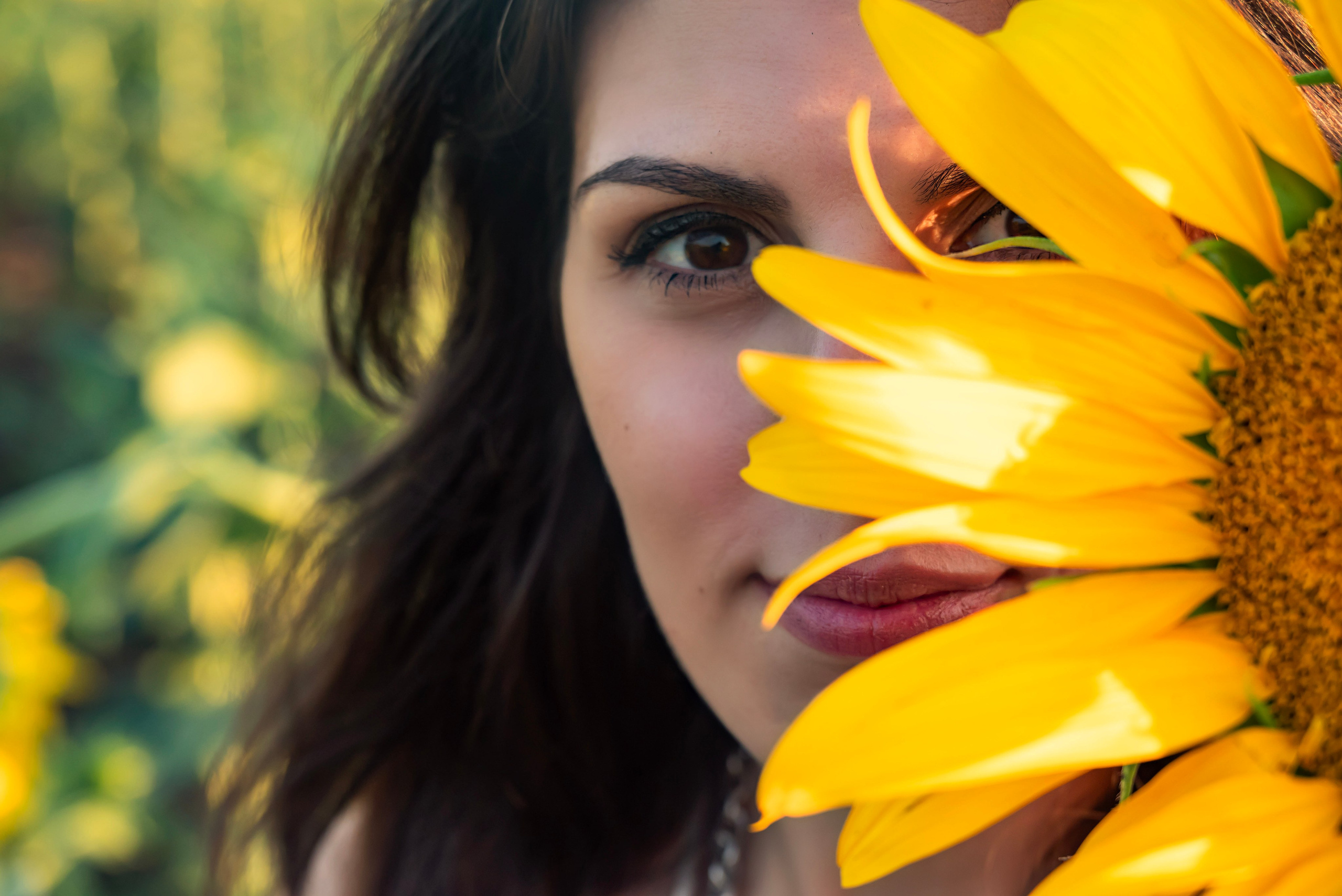 Летняя прогулка. Главная