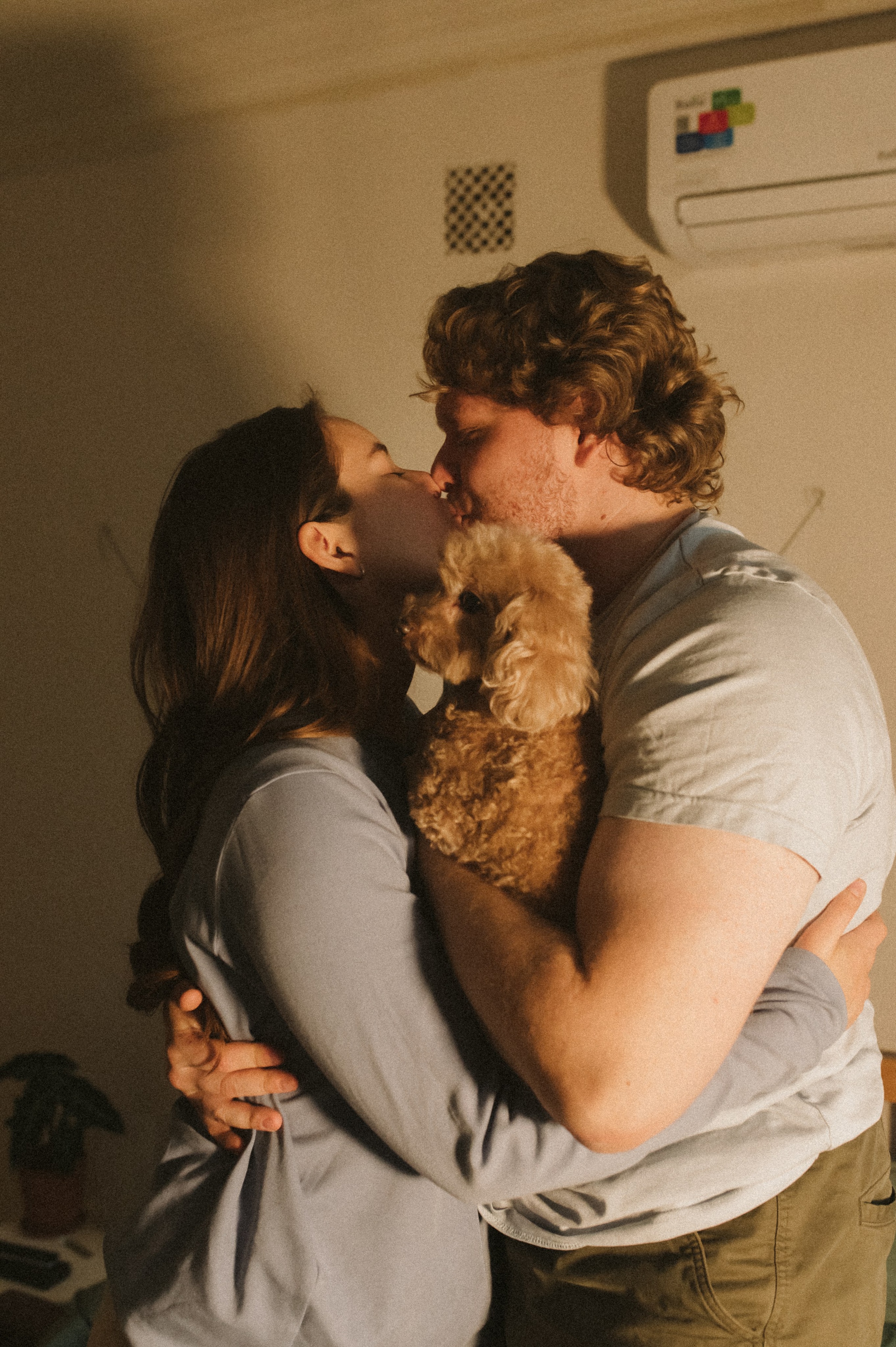 Ання и её кудрявая команда. Фотограф анималист в Москве Ольга Агушева