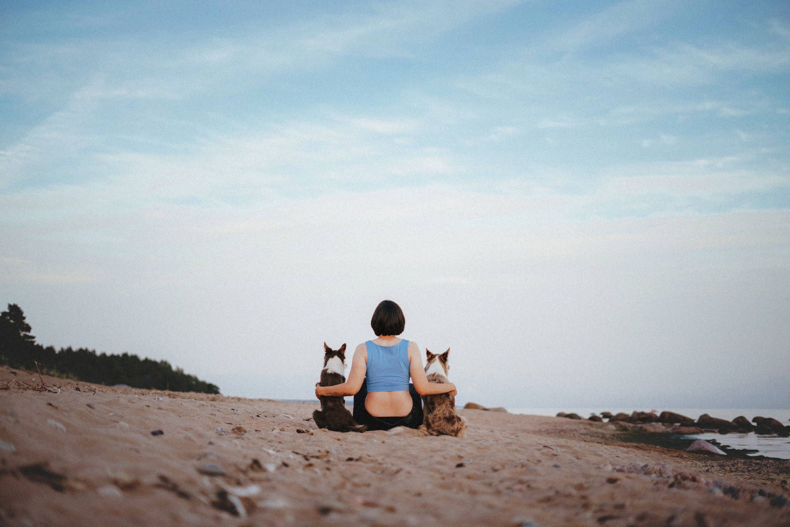 Рита, Маша и много собак. Фотограф анималист Осипчикова Мария