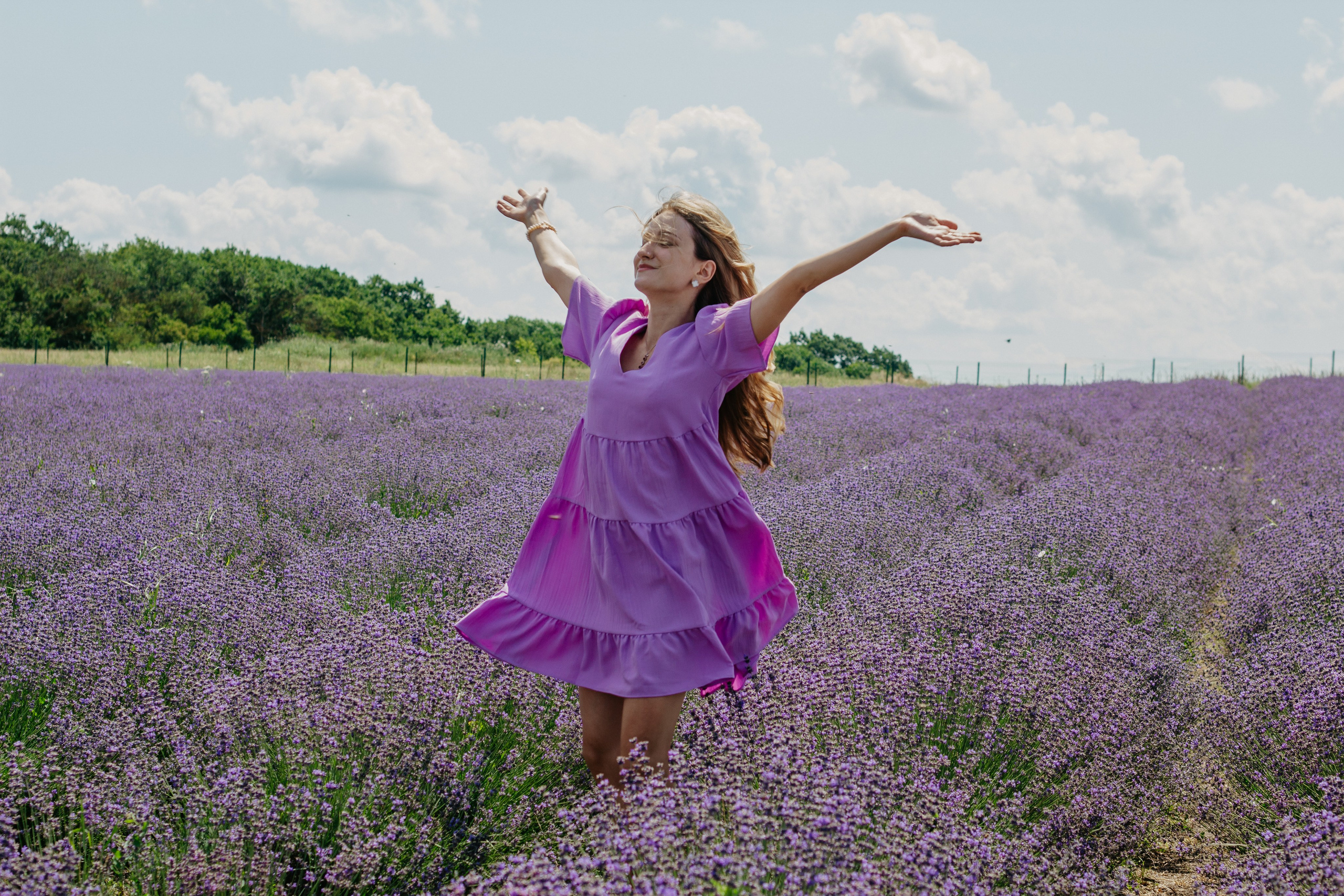 Лаванда. Главная