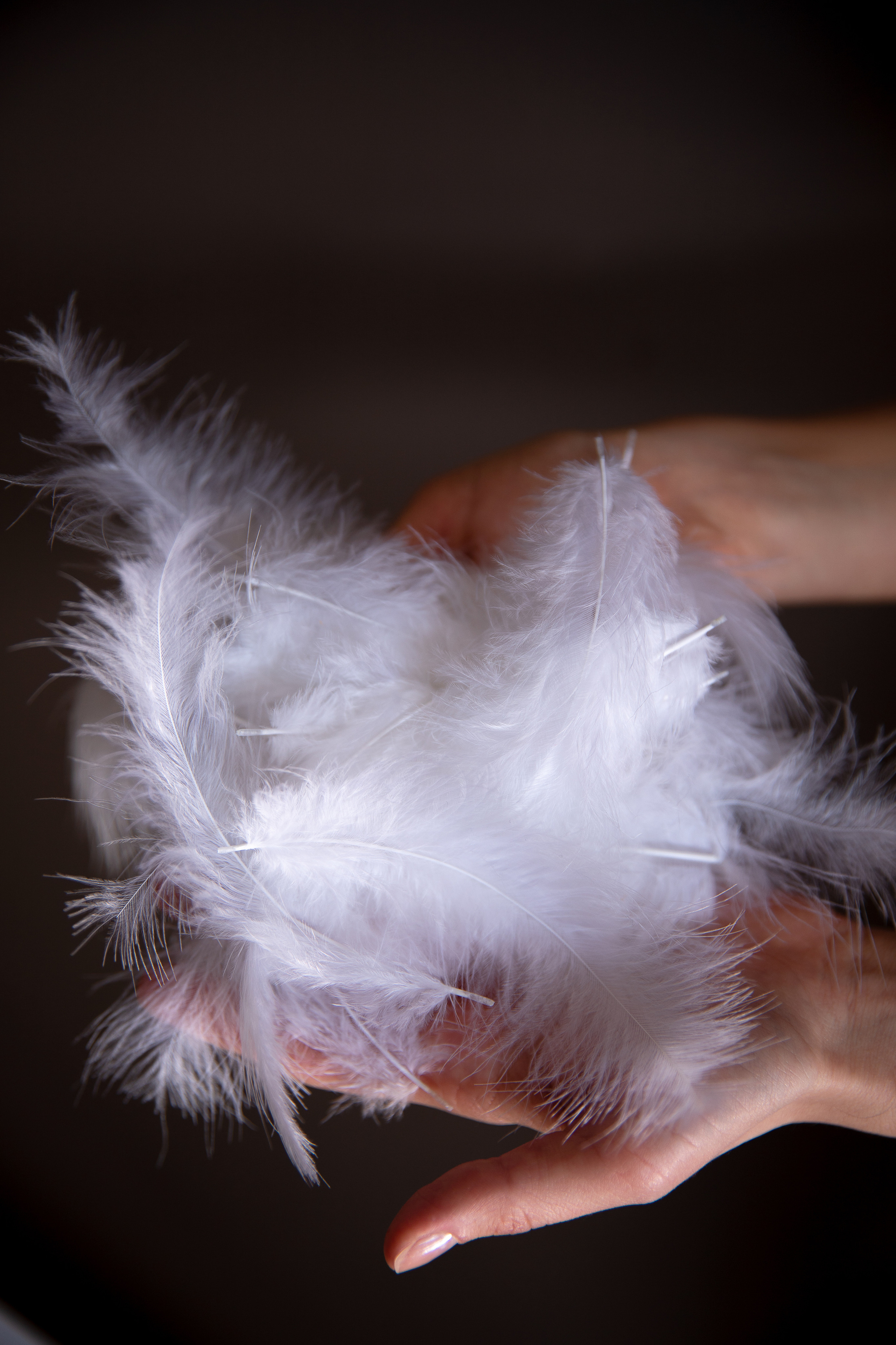 Аэрограф. Свадебный и семейный фотограф в Кореновске и в Краснодаре