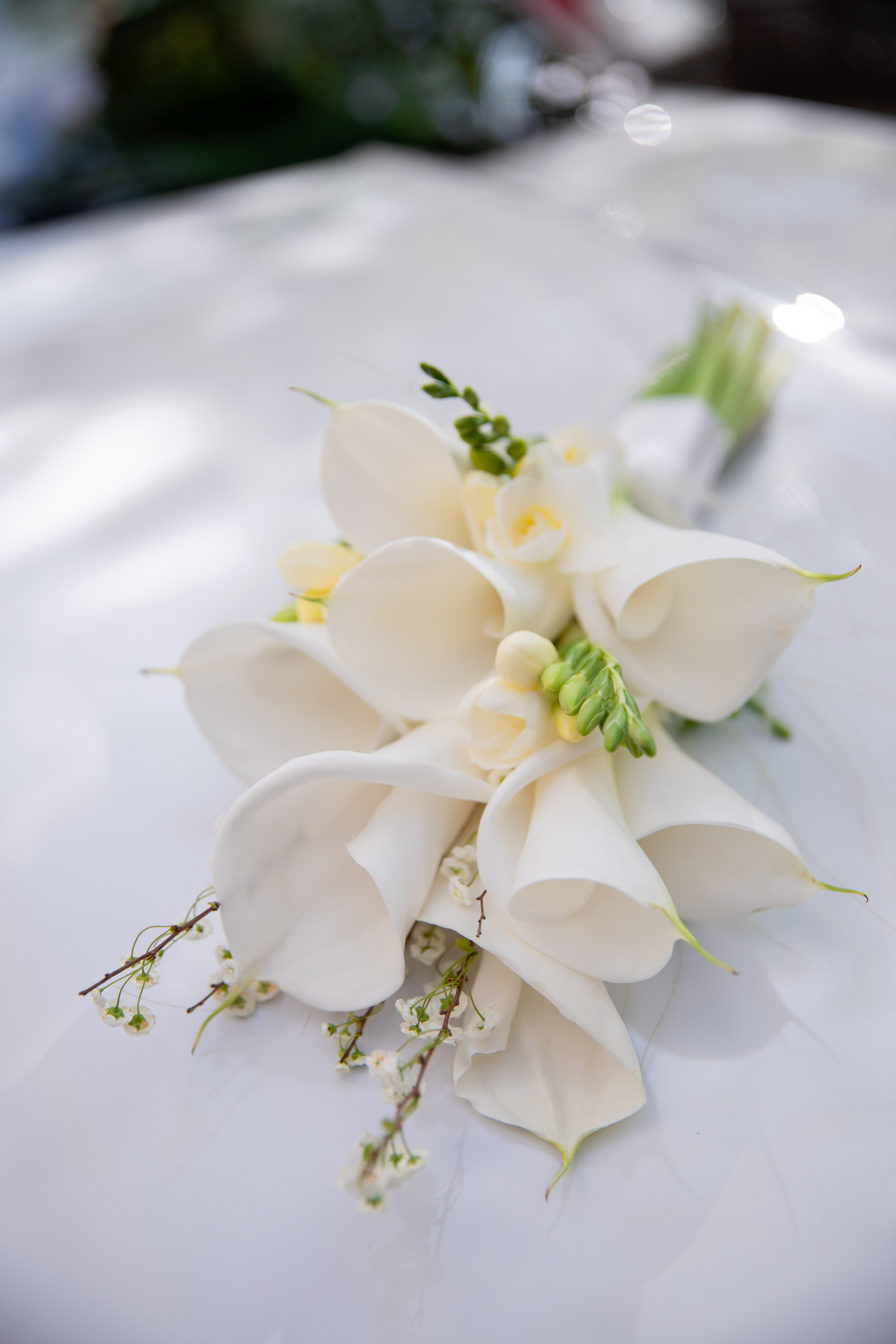 Ульяна и Александр. Свадебный и семейный фотограф в Кореновске и в Краснодаре