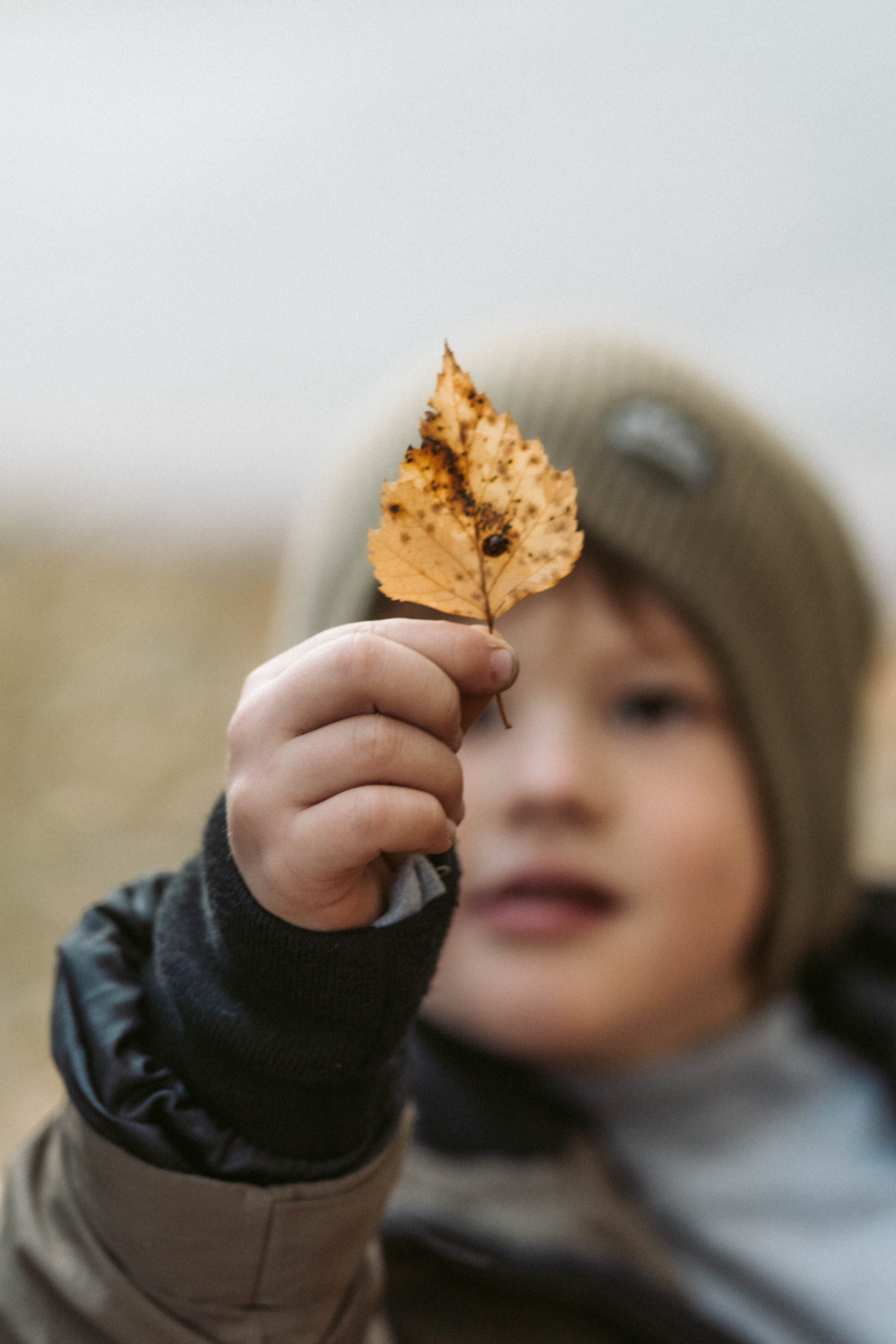 Валя и Роберт. Главная страница