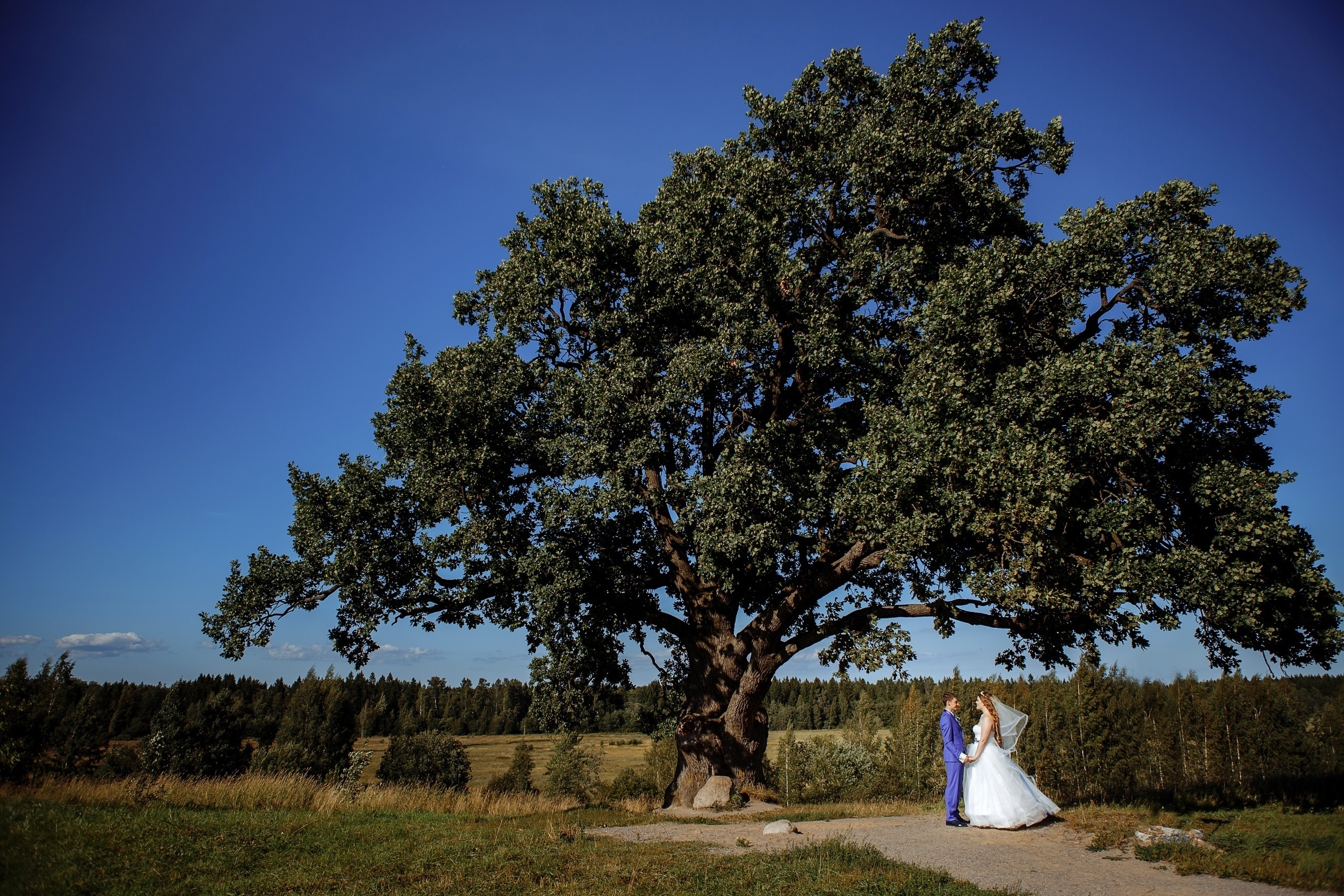 Свадебные серии. Свадебный фотограф в Санкт-Петербурге
