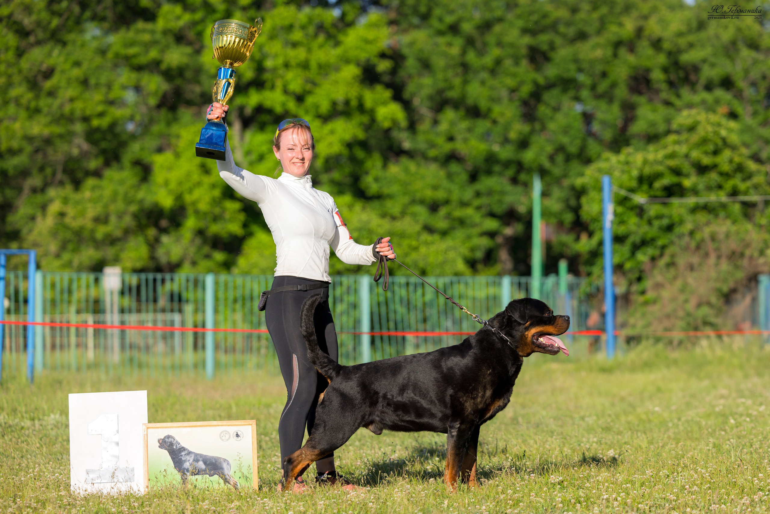 Воронеж моно ротвейлеров 25-26.05.2024. Фотограф-анималист Юлия Германика