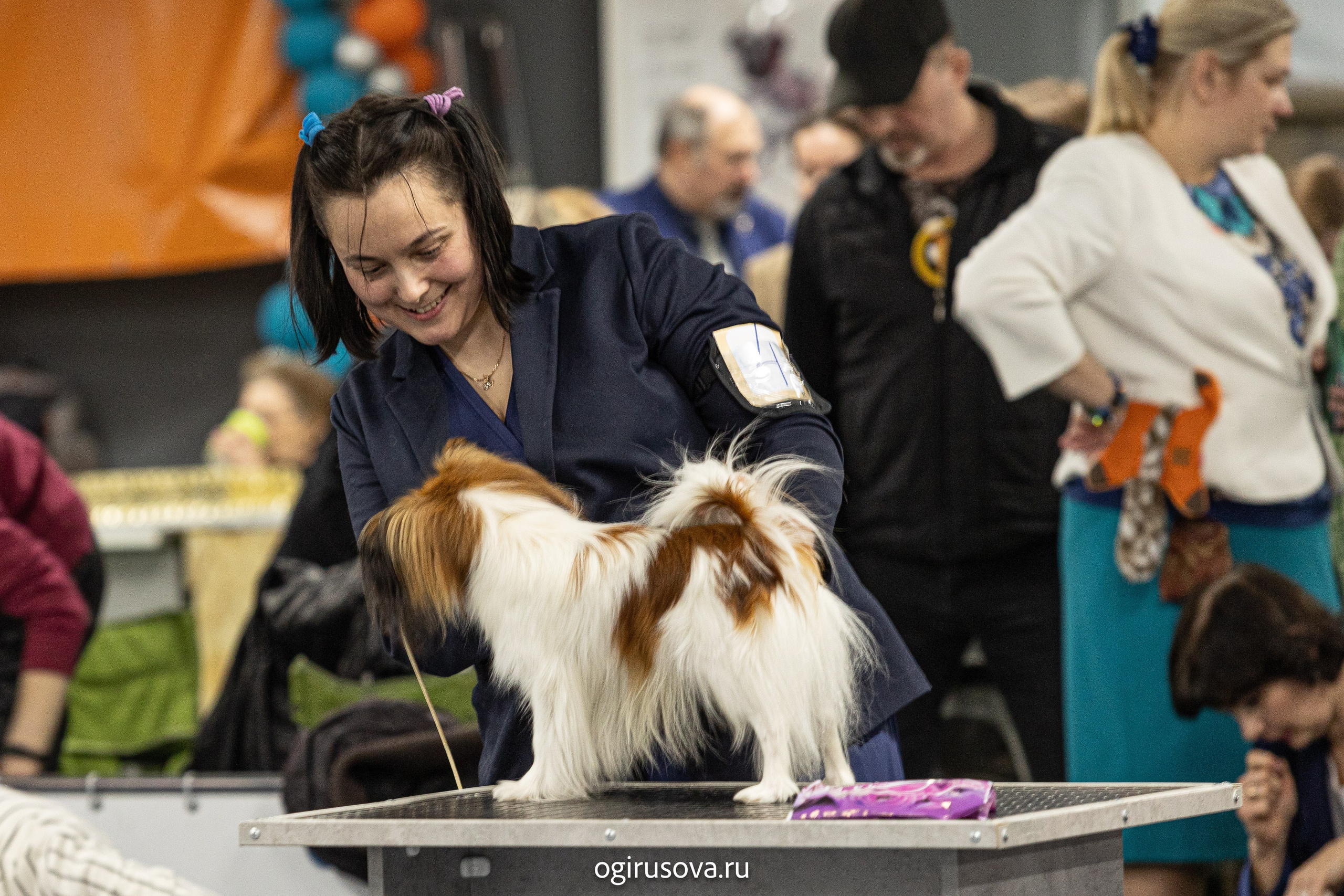 РОО КЛЖ «Олимп"+"Империя"+"Виктория».Выставка собак. Фотограф Ольга Гирусова «Пантерочка» Москва