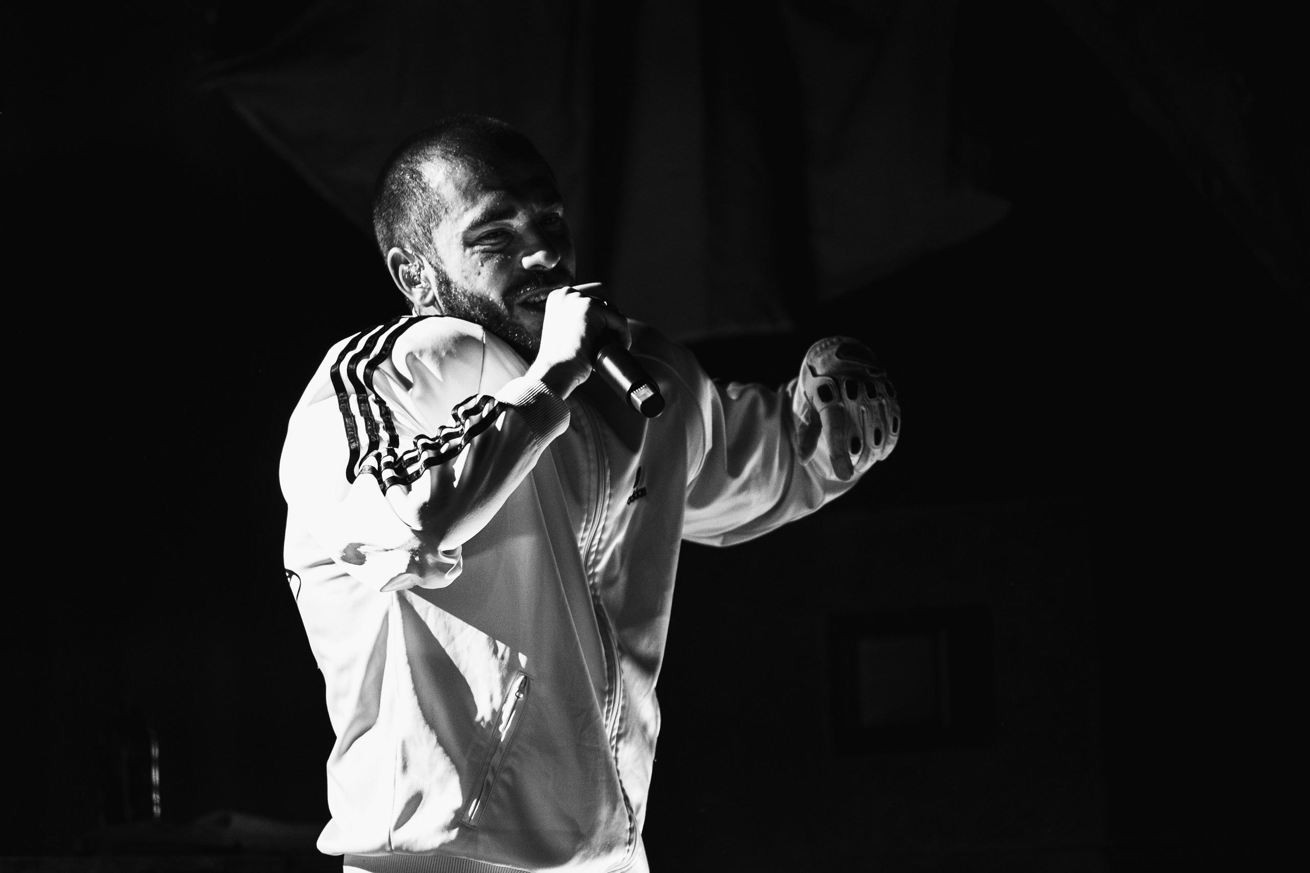 Хаски, Одинцово. Концертный фотограф Алёна Рейт в Москве