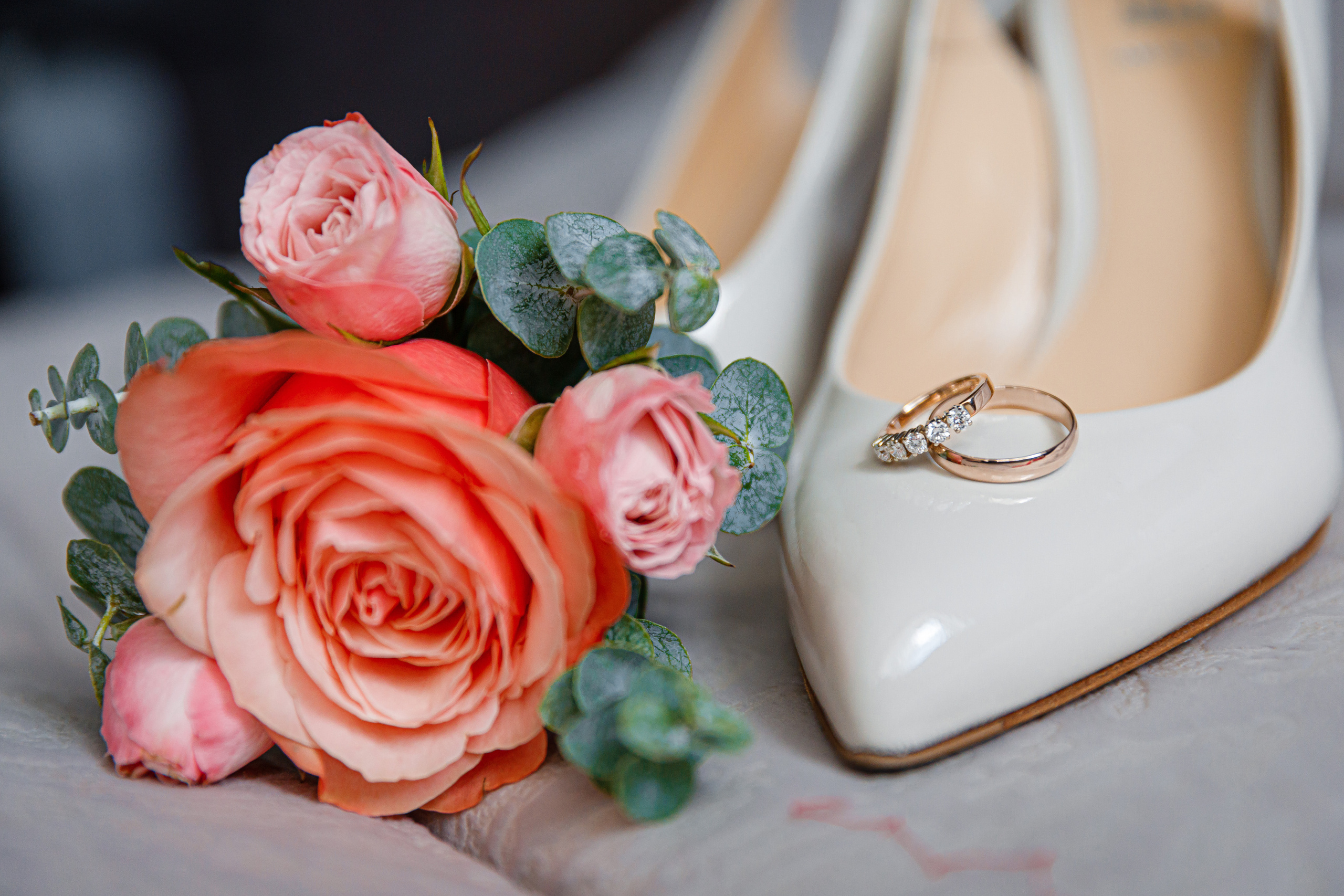 ПИТЕР. Фотограф в Петрозаводске Игорь Герасименко