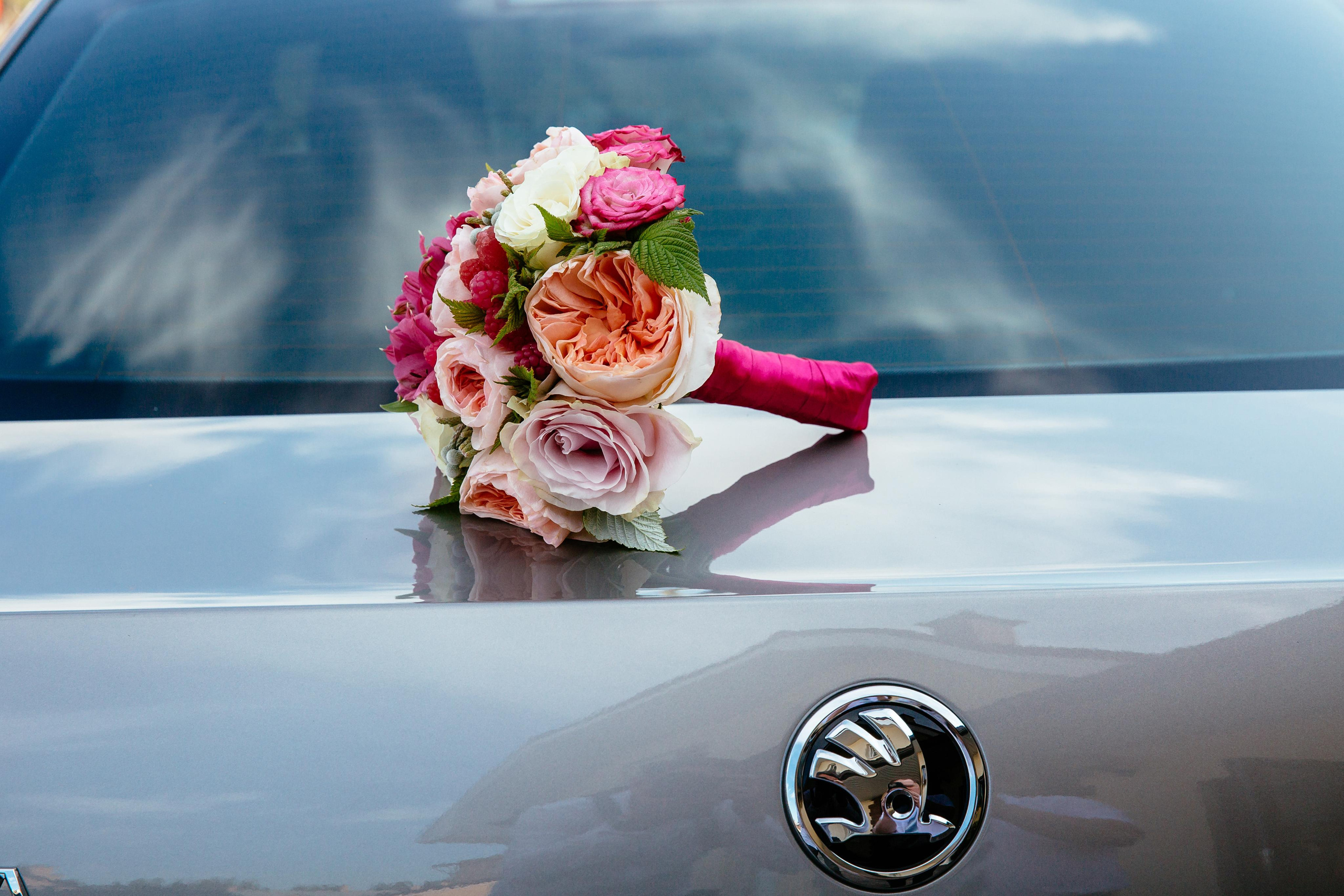 Жаркий август. Фотограф в Петрозаводске Игорь Герасименко