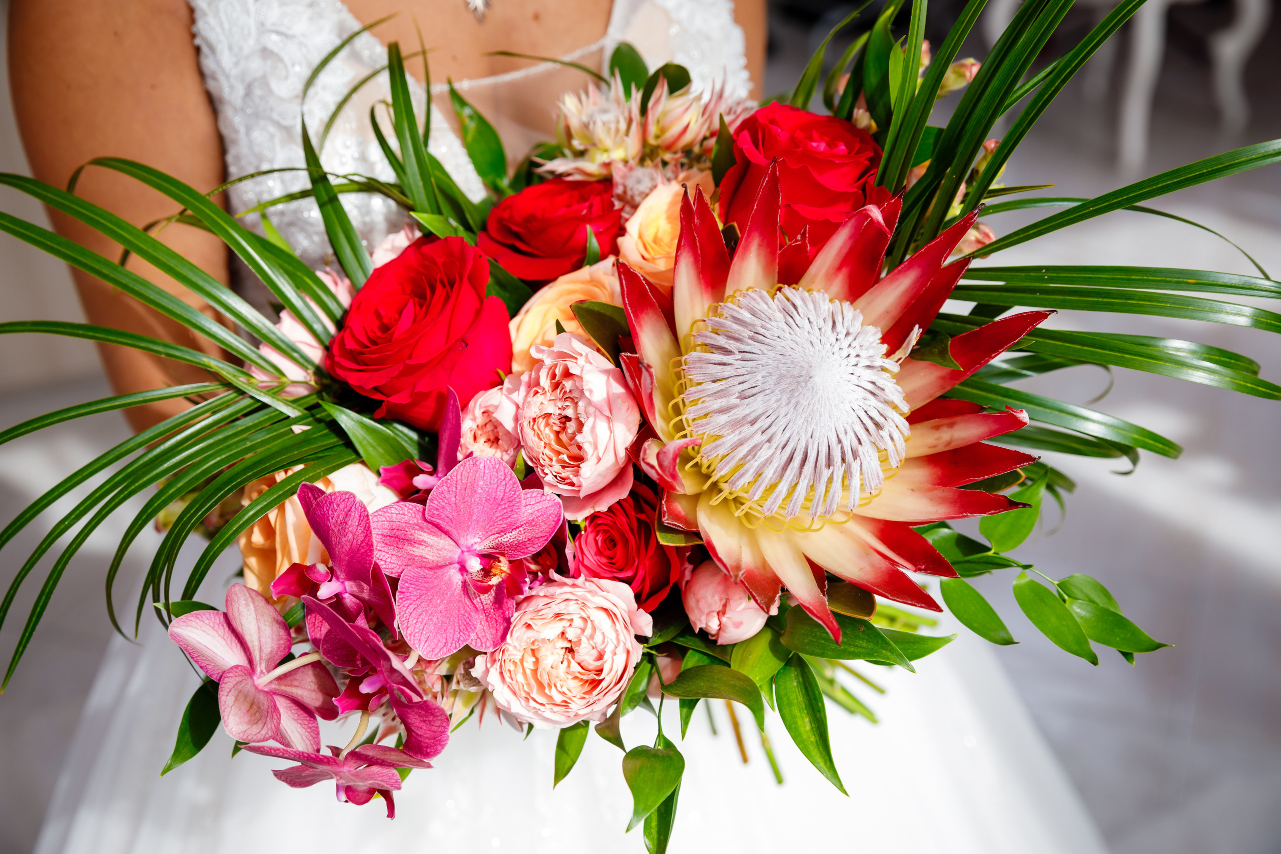 Розовый фламинго. Фотограф в Петрозаводске Игорь Герасименко