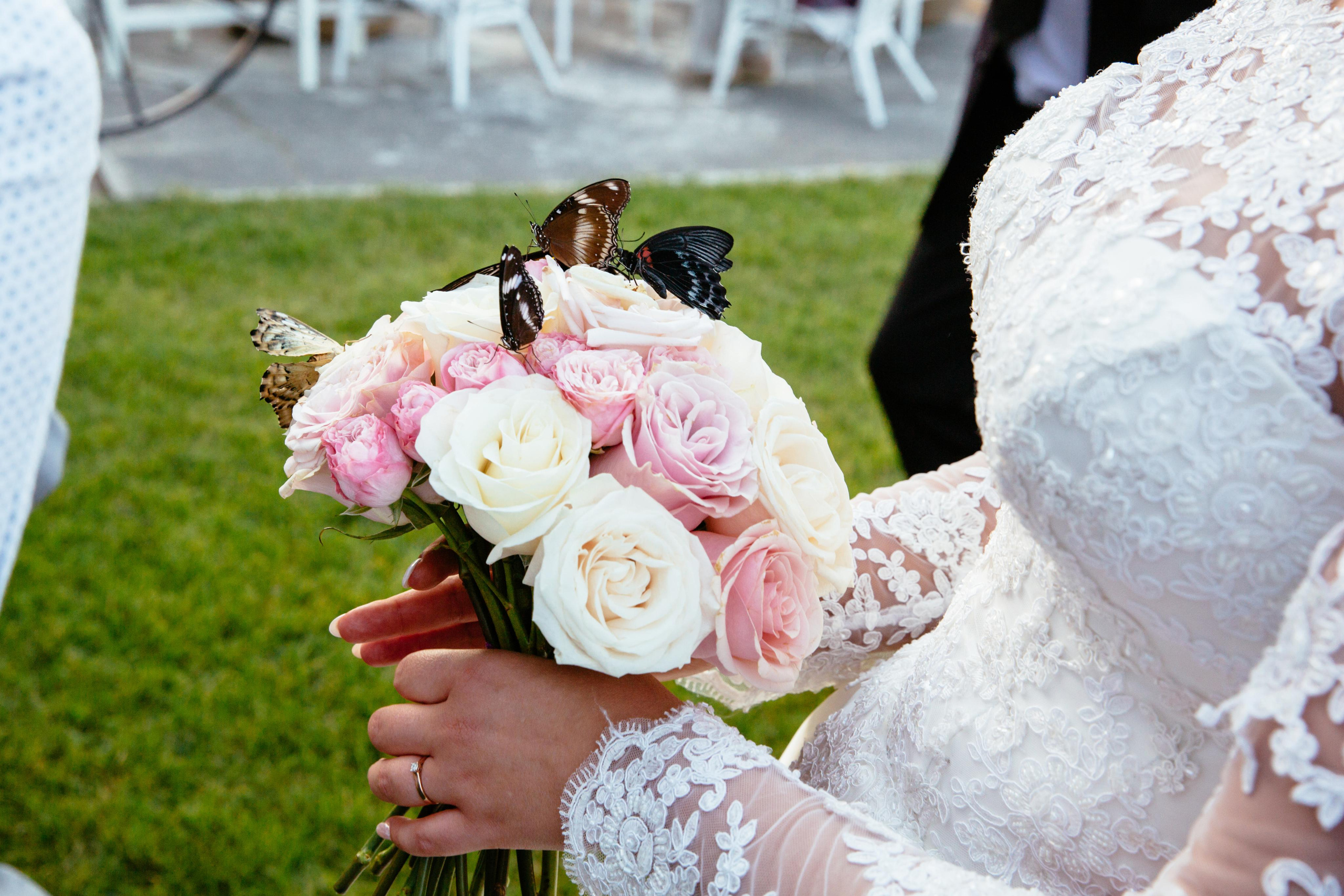 БАБОЧКИ. Фотограф в Петрозаводске Игорь Герасименко
