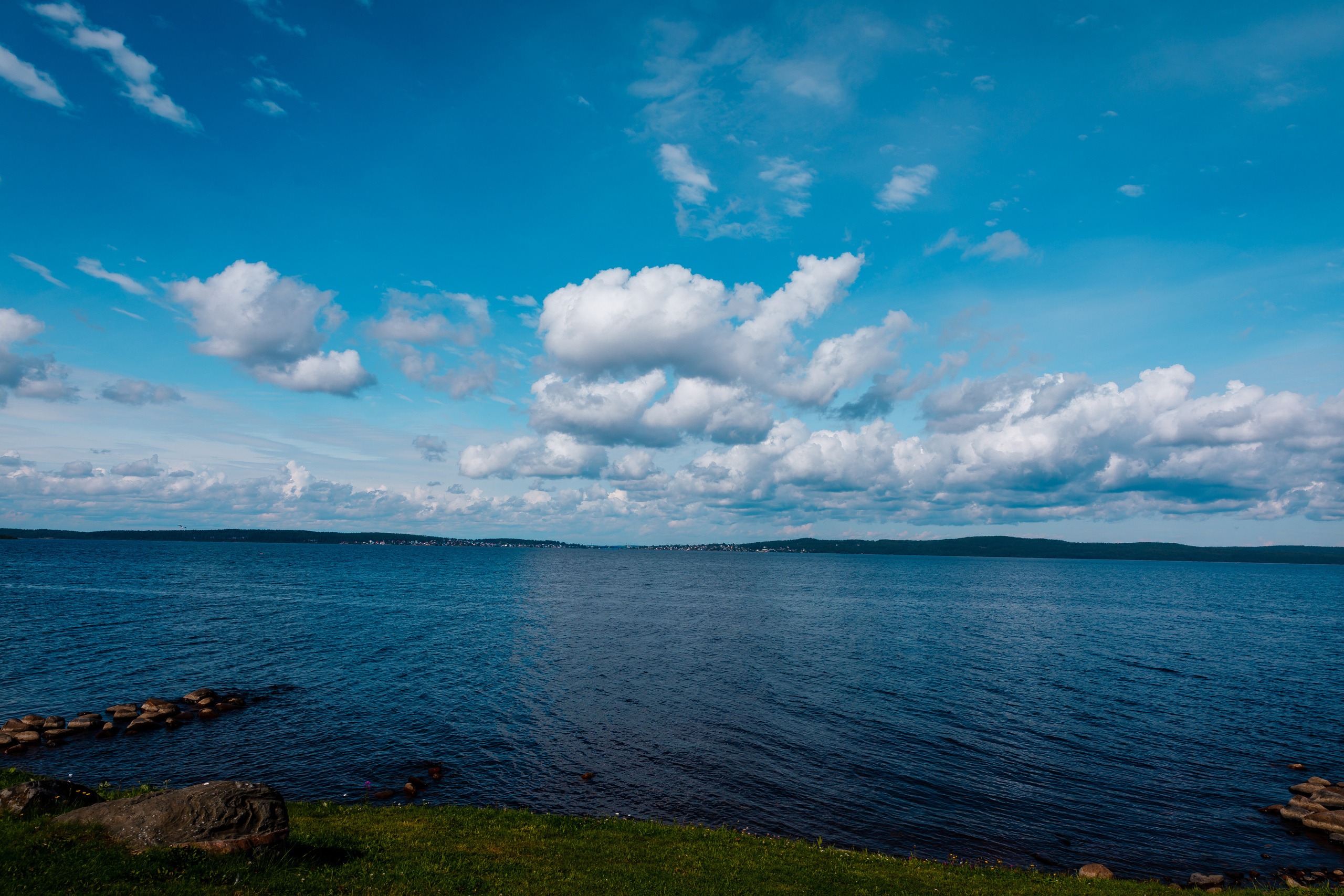 Розовый фламинго. Фотограф в Петрозаводске Игорь Герасименко